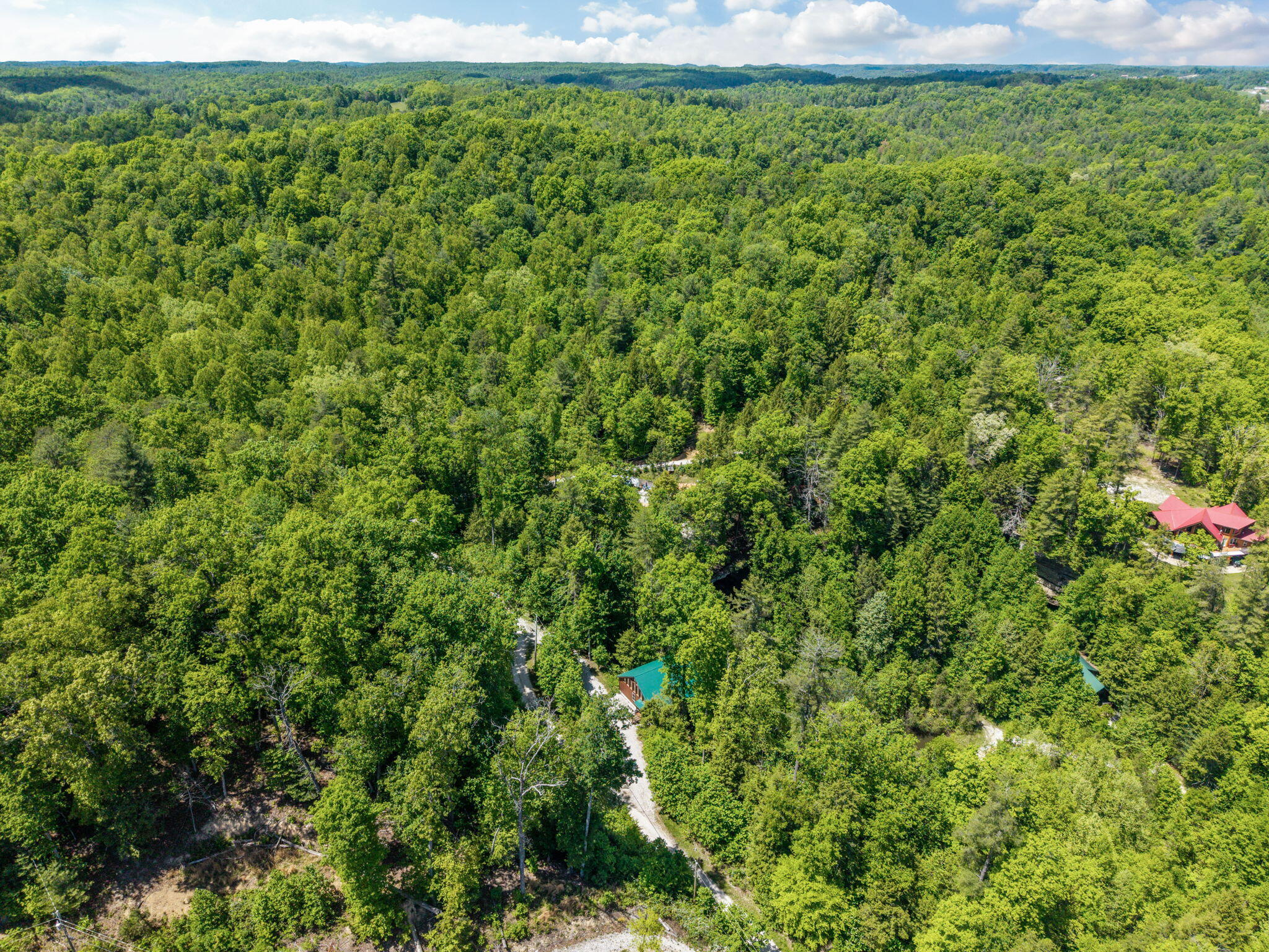 108 Spirit View Lake Dr Property Photo 61