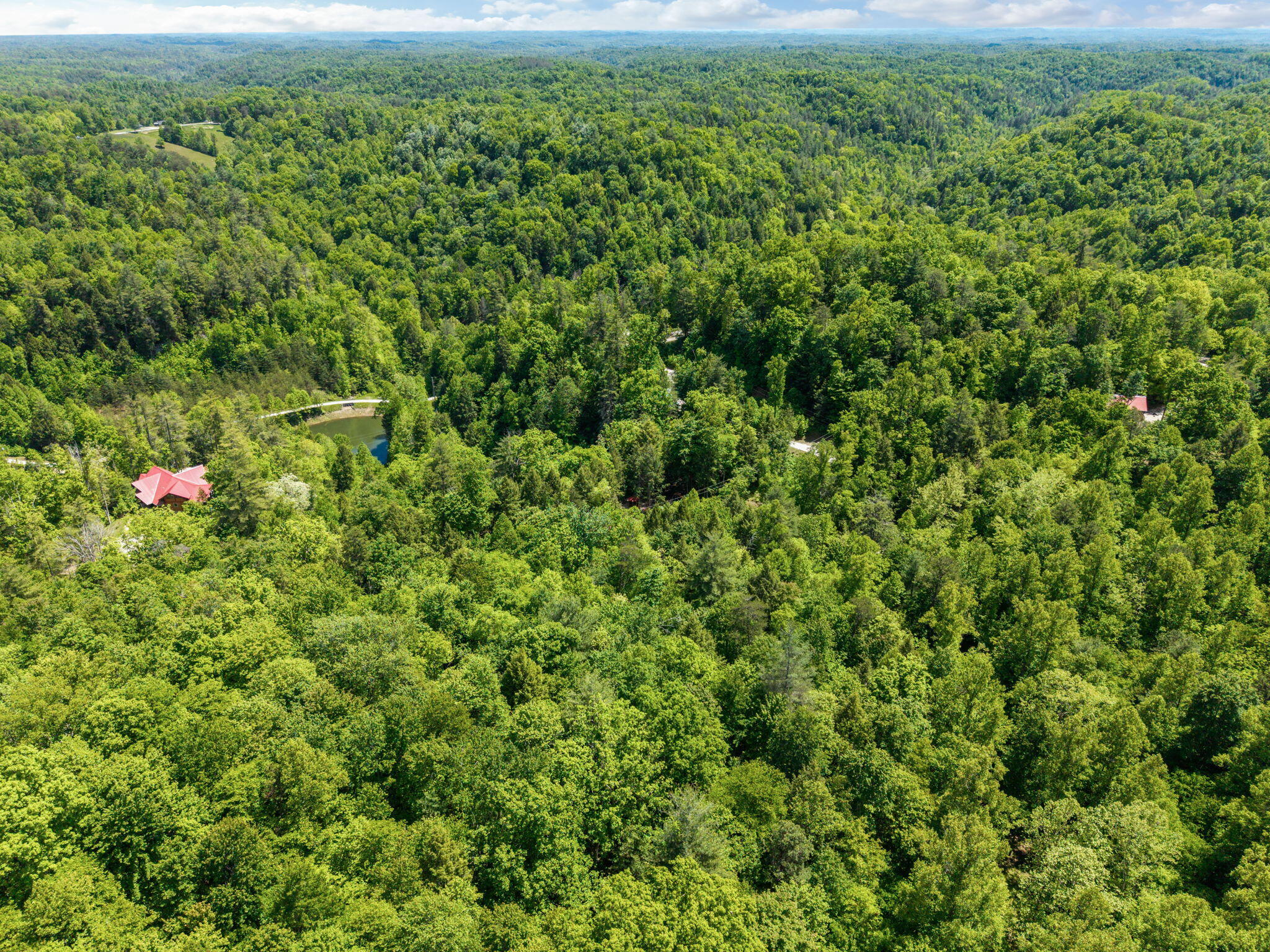 108 Spirit View Lake Dr Property Photo 64