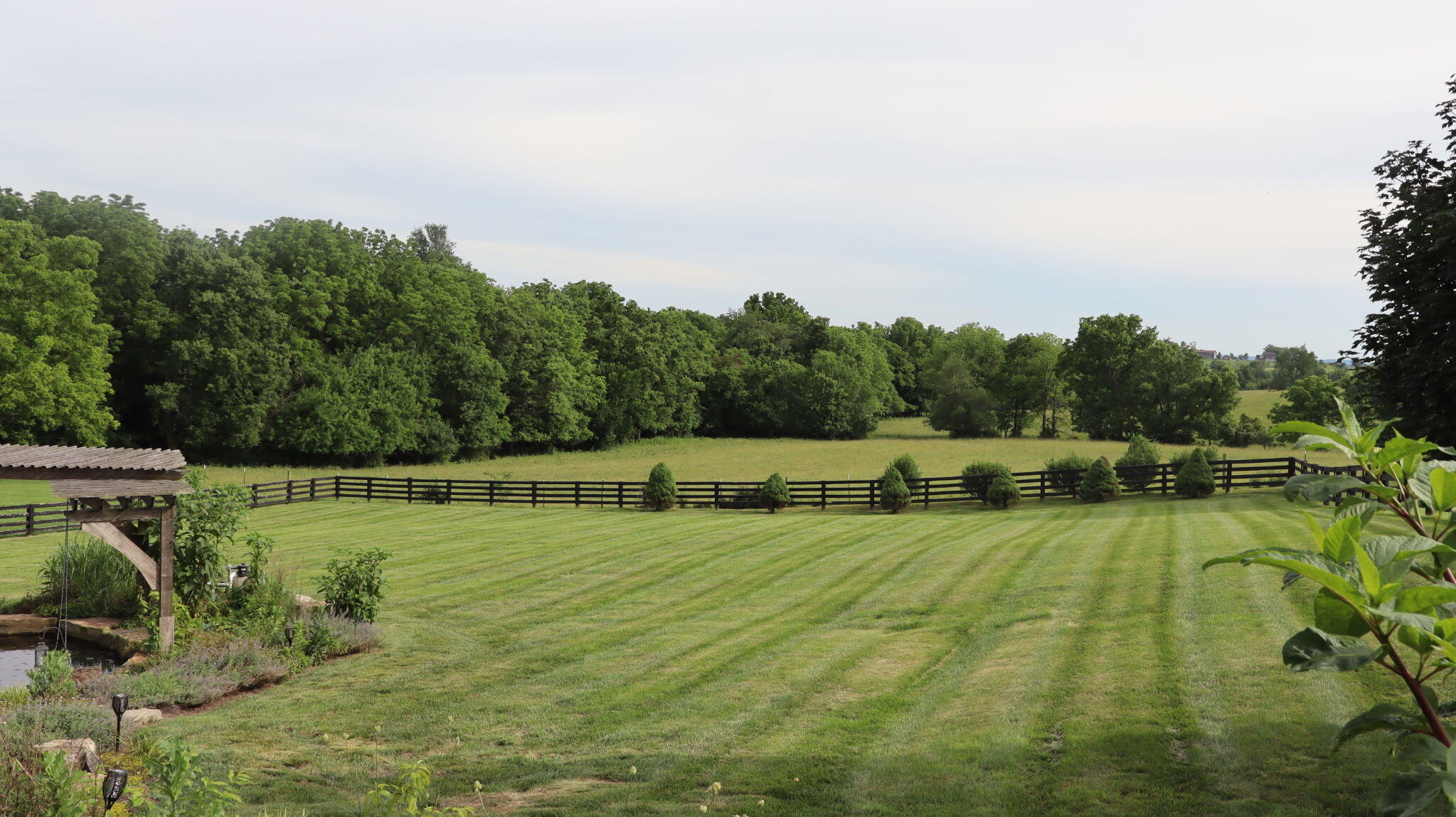 189 Wildcat Drive Property Photo 4
