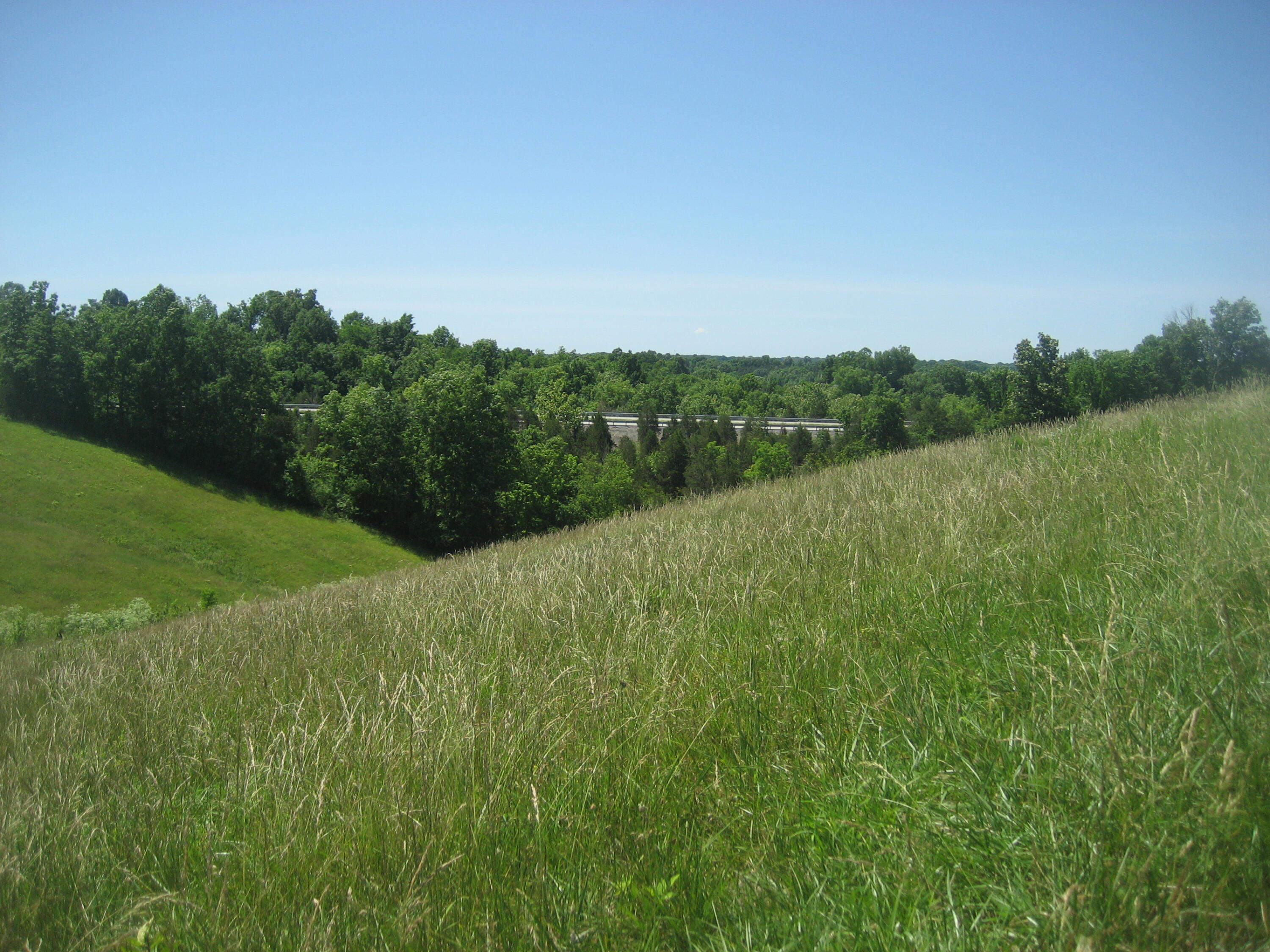 1234 Kays Road Property Photo 8