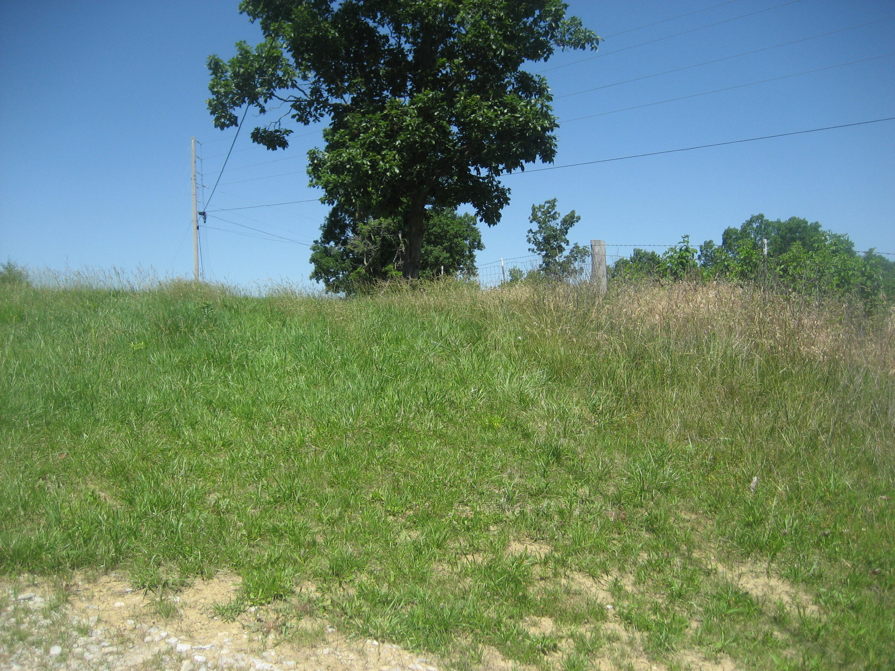 1234 Kays Road Property Photo 10
