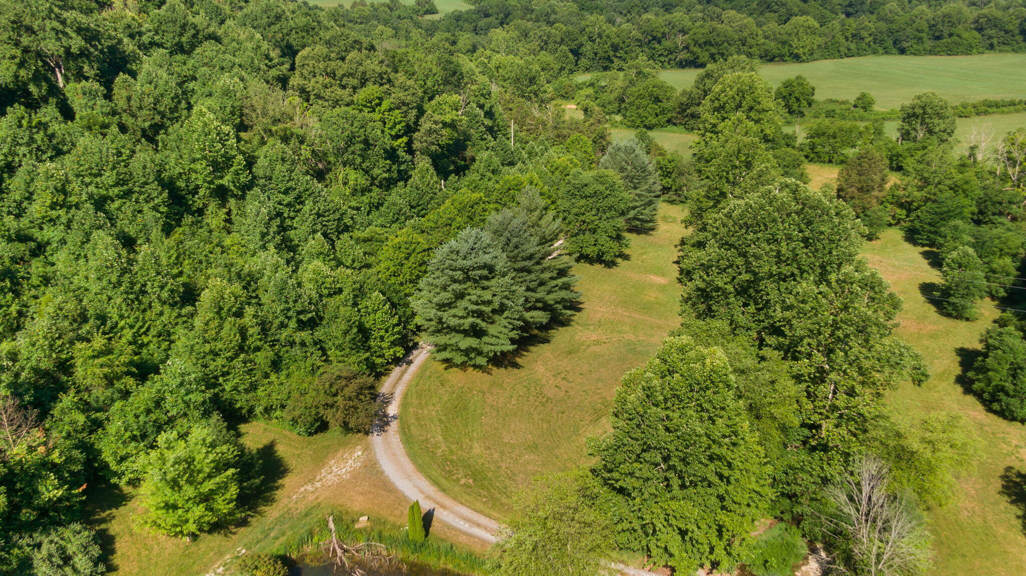 716 Renfro Creek Road Property Photo 18