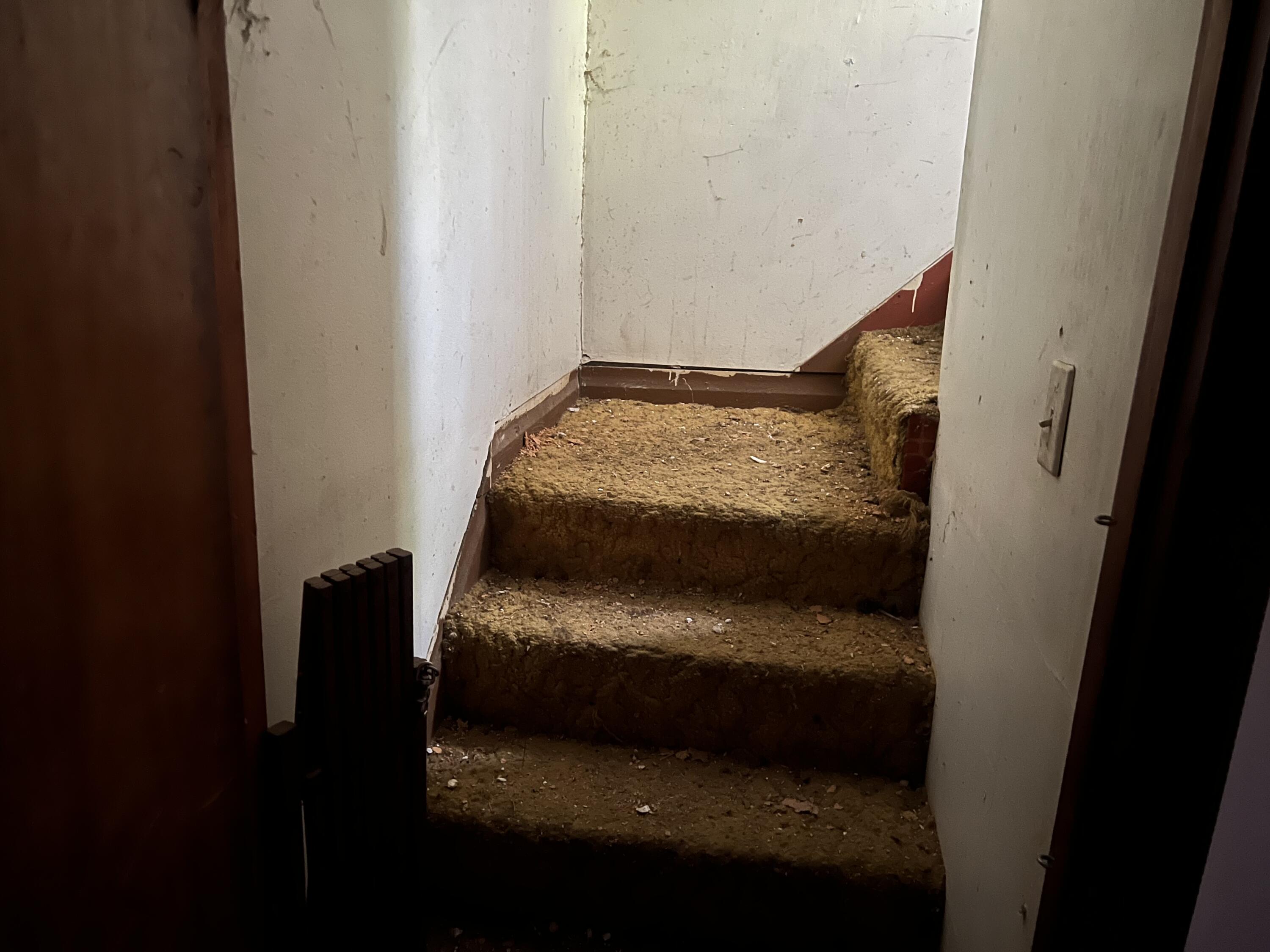 443 N Wilson Avenue Property Photo 9