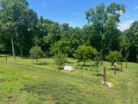 1224 Hall Road Property Photo 32