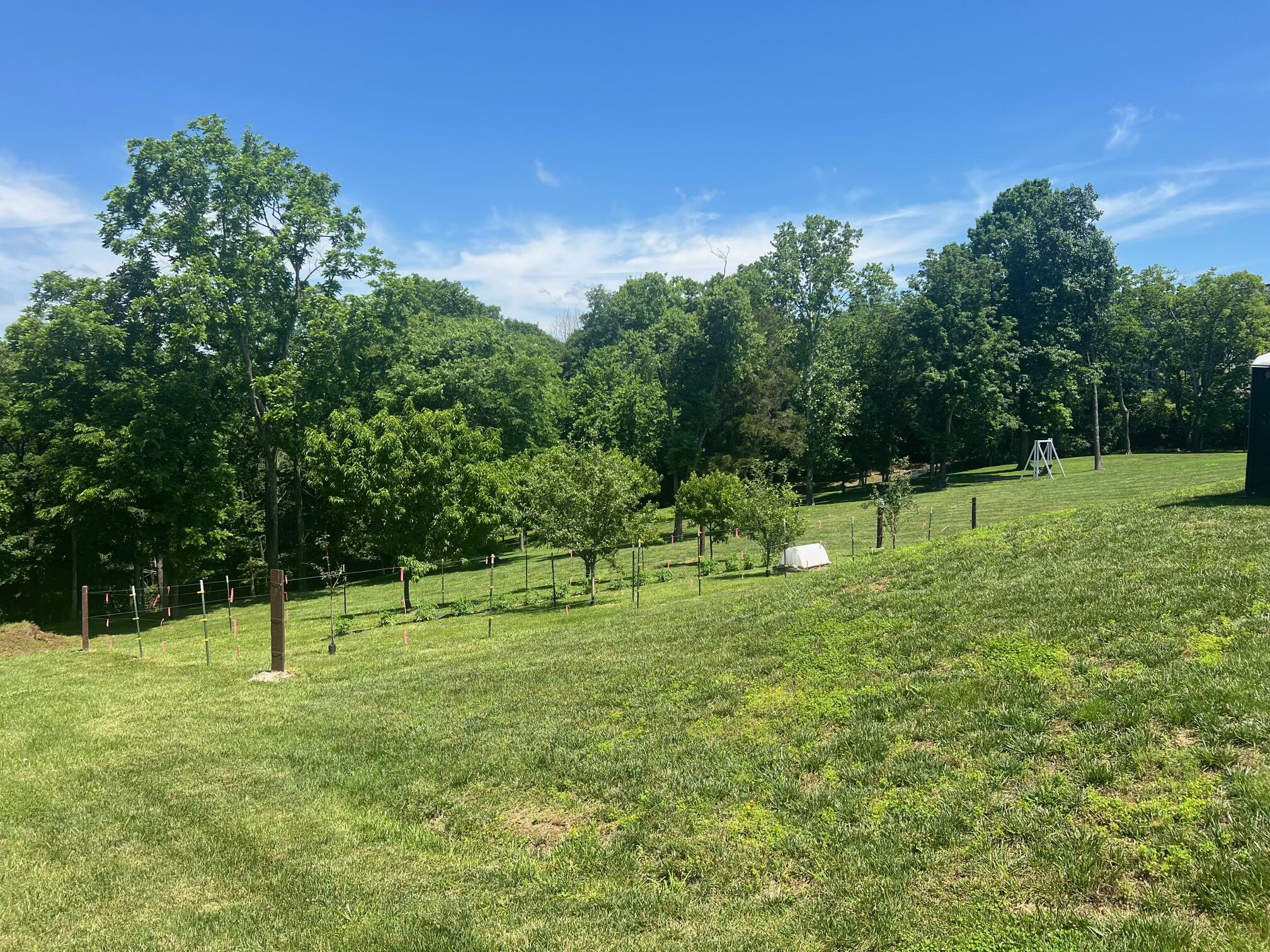 1224 Hall Road Property Photo 47