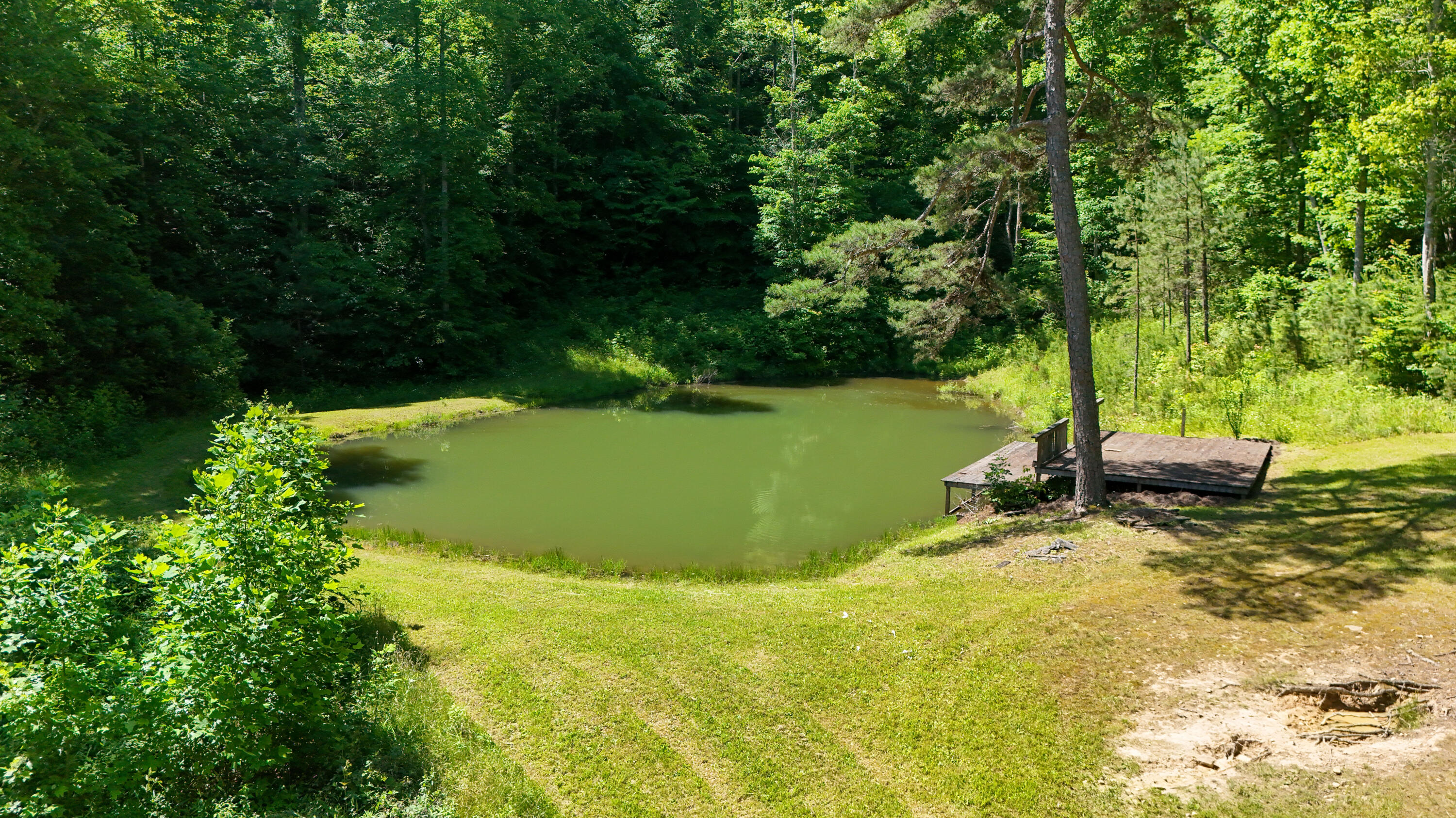 0 Birch Hollow Road Property Photo 9