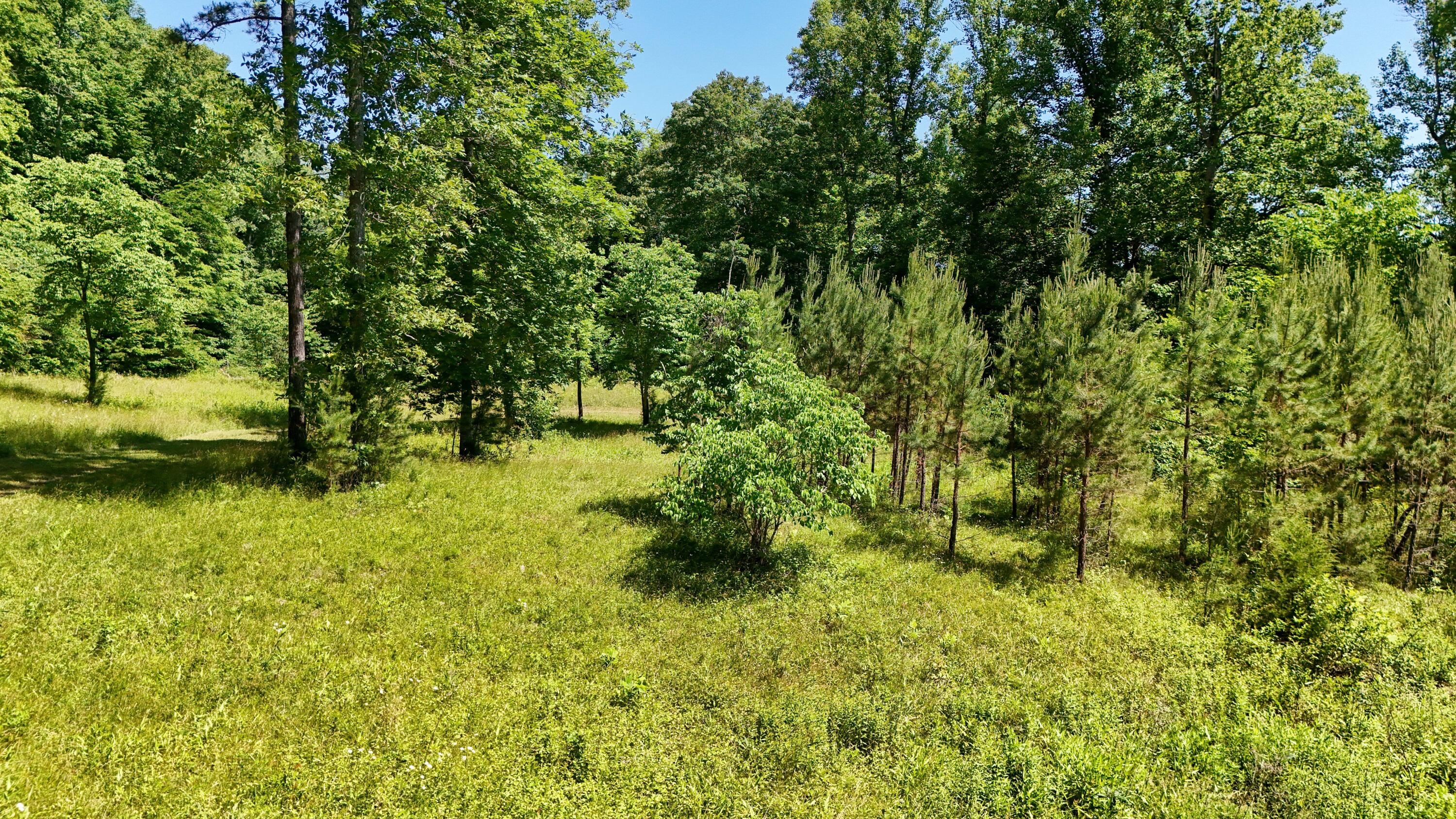 0 Birch Hollow Road Property Photo 16