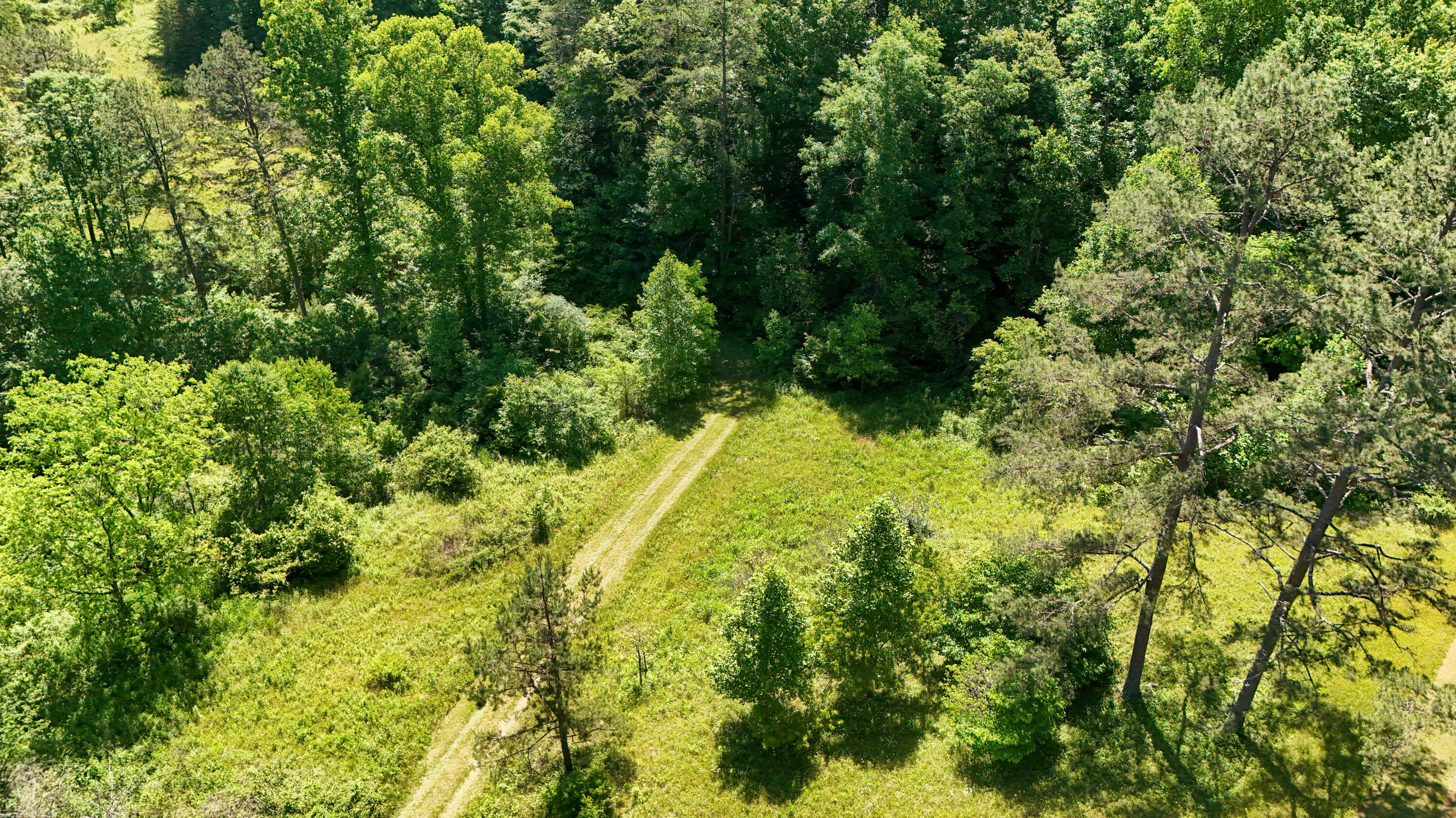 0 Birch Hollow Road Property Photo 19