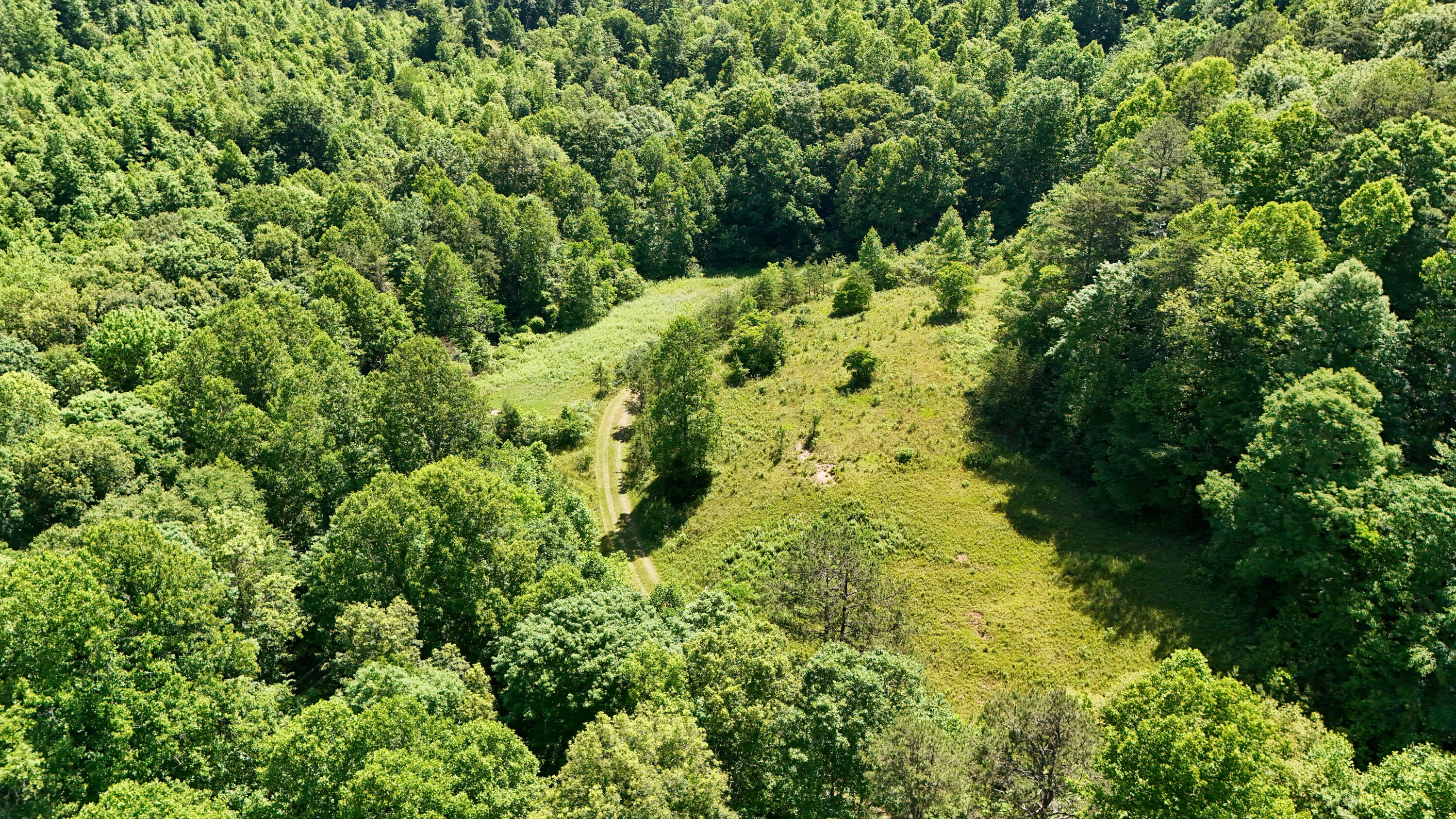 0 Birch Hollow Road Property Photo 20