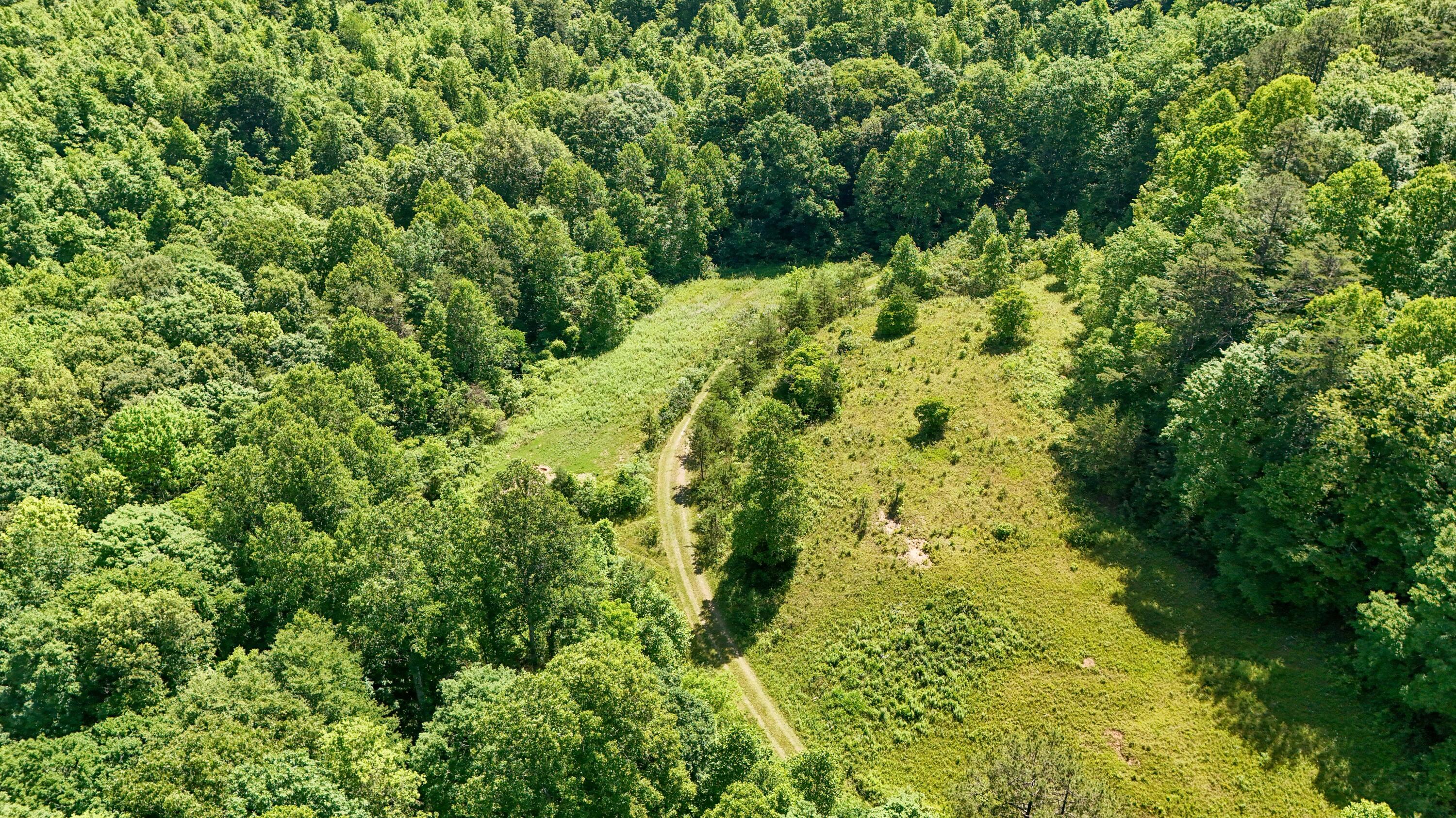 0 Birch Hollow Road Property Photo 22