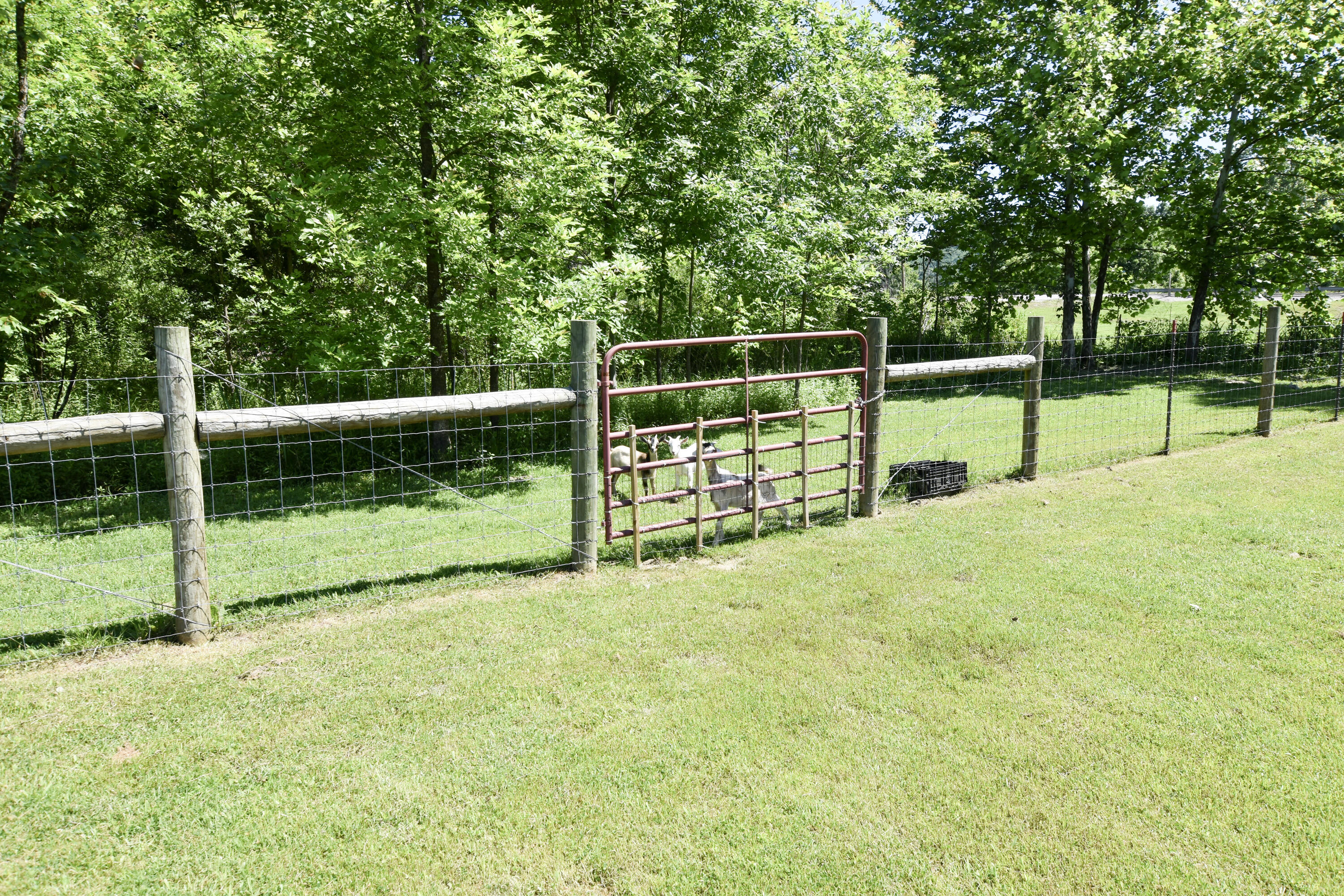 66 Leisure Lane Property Photo 9