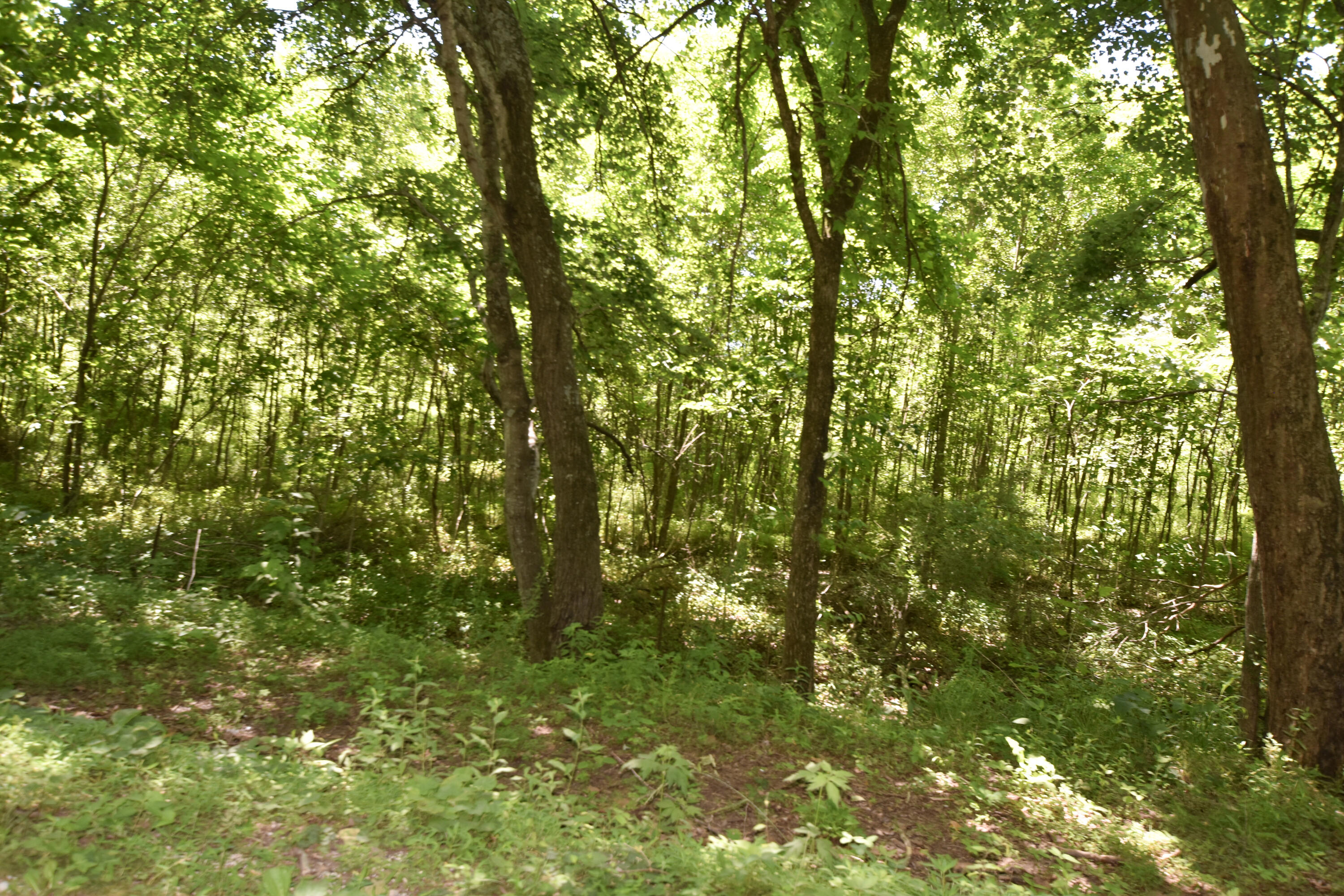 66 Leisure Lane Property Photo 38