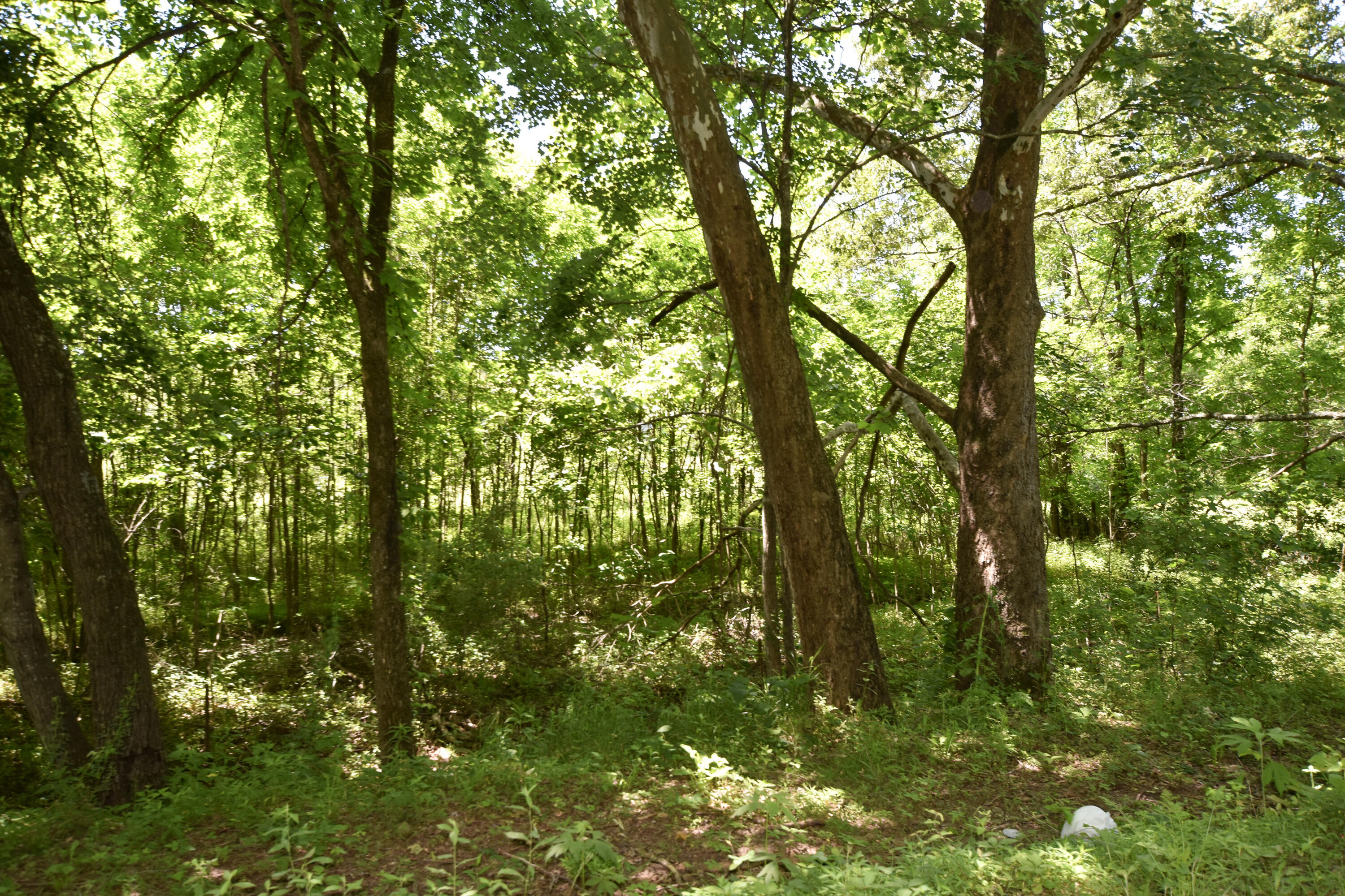66 Leisure Lane Property Photo 39