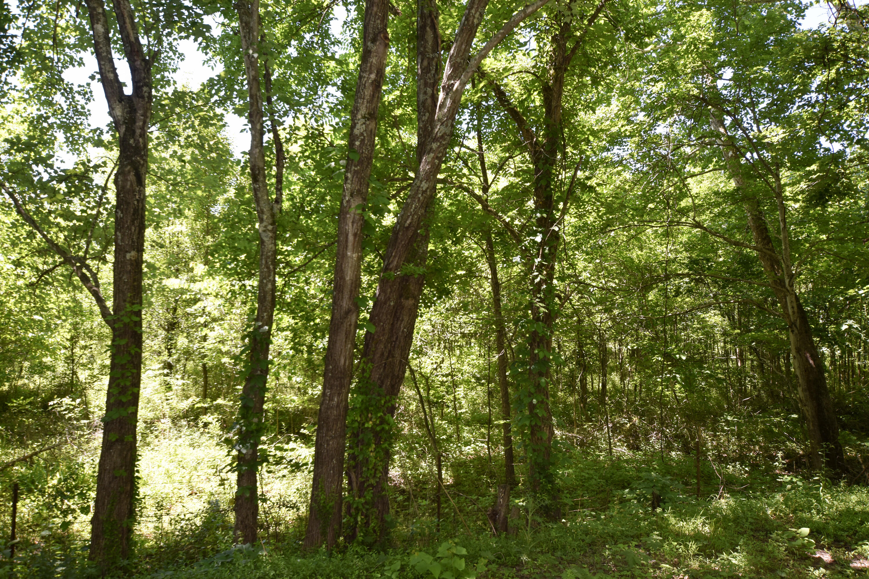 66 Leisure Lane Property Photo 40