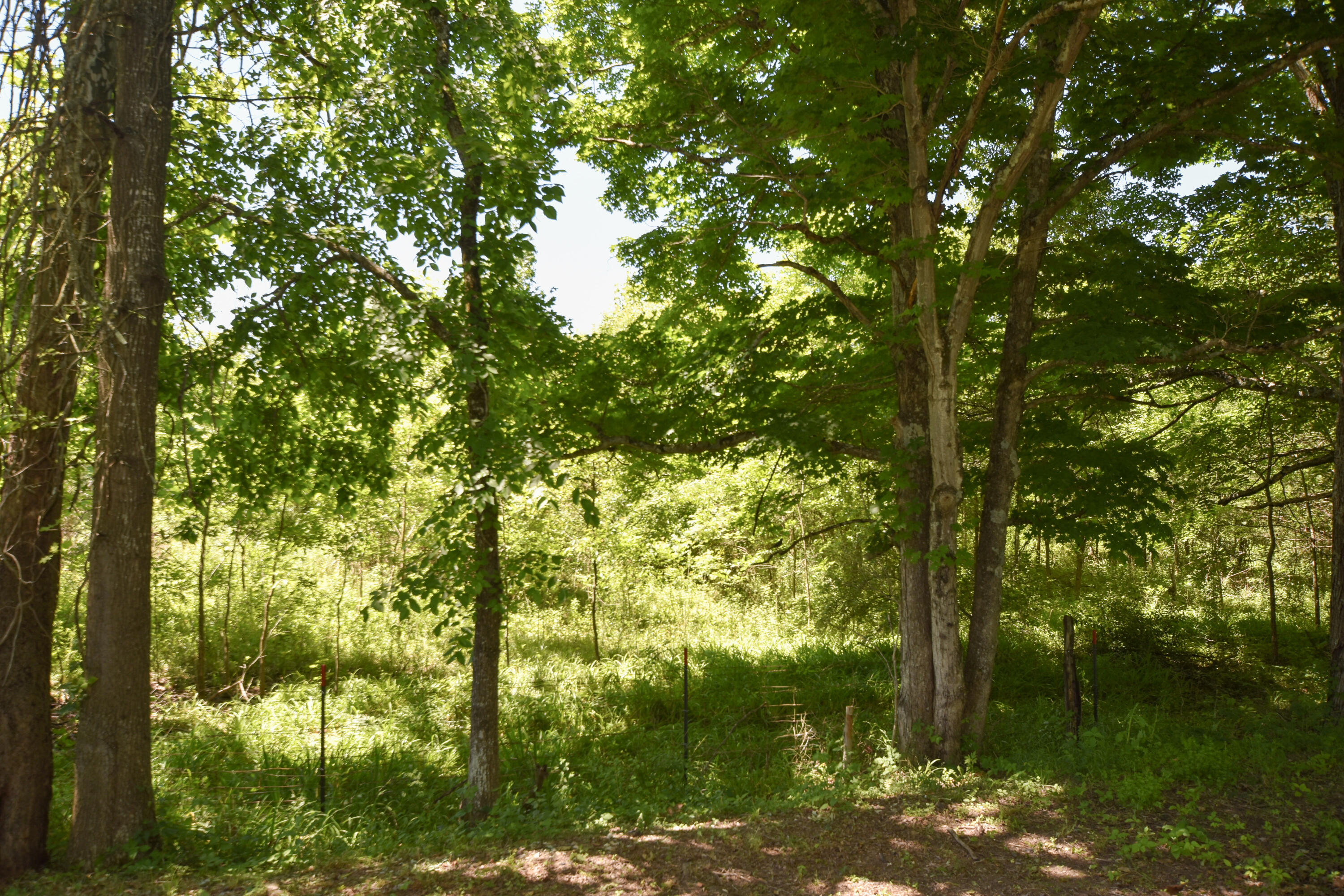 66 Leisure Lane Property Photo 41