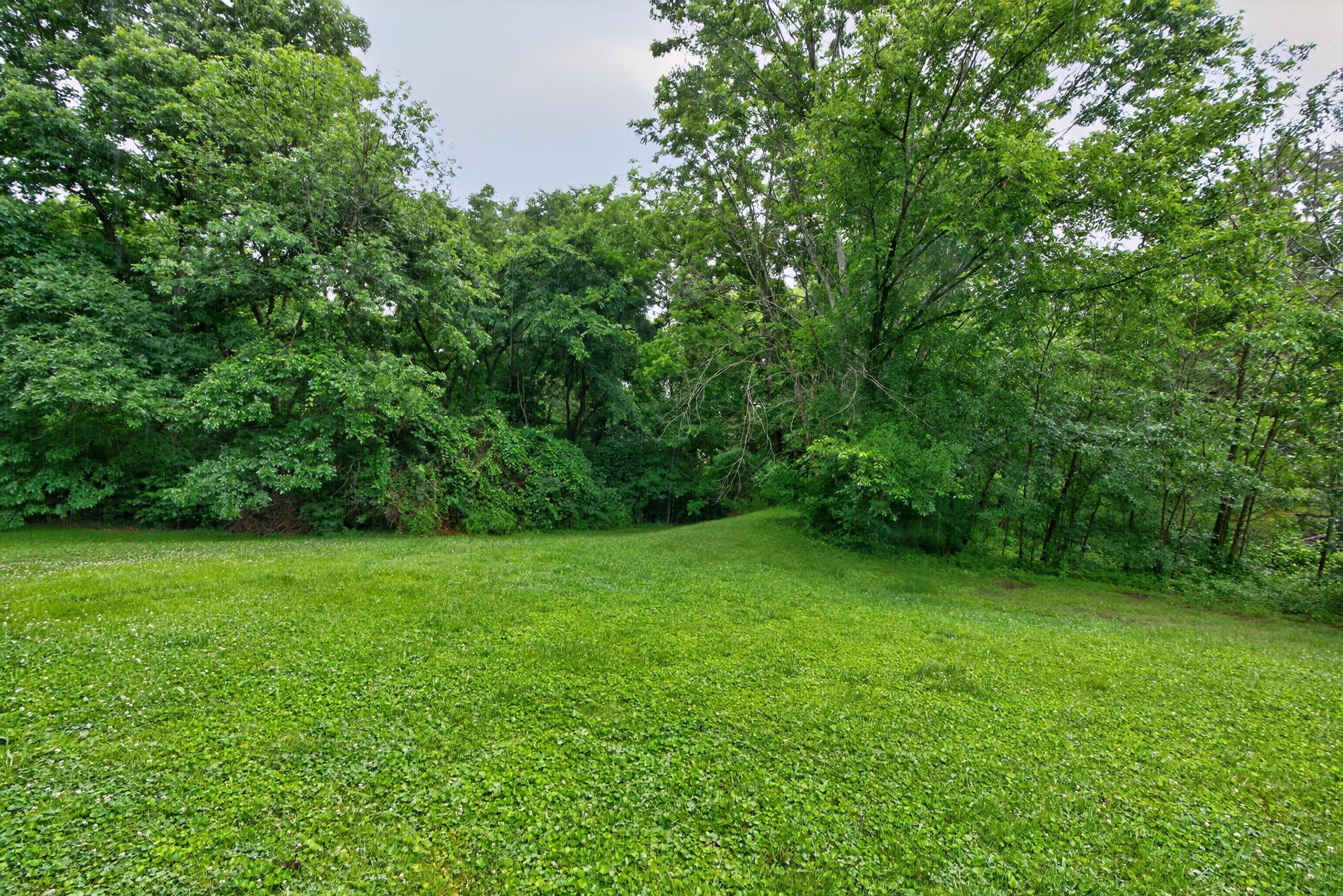 203 Kennedy Lane Property Photo 29