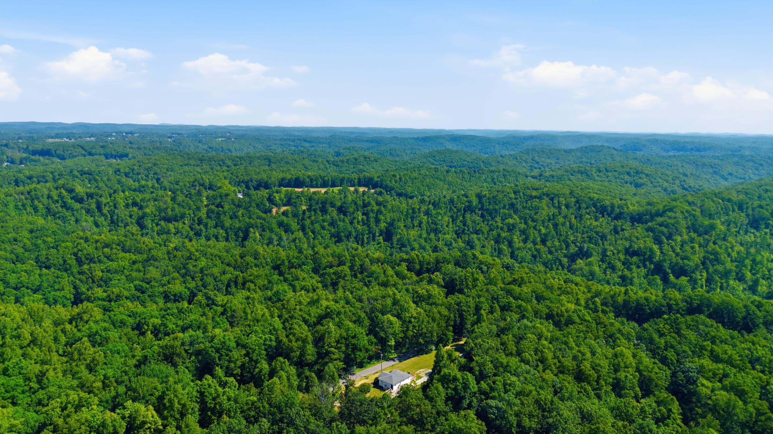2255 S Tree Tower Road Property Photo 24