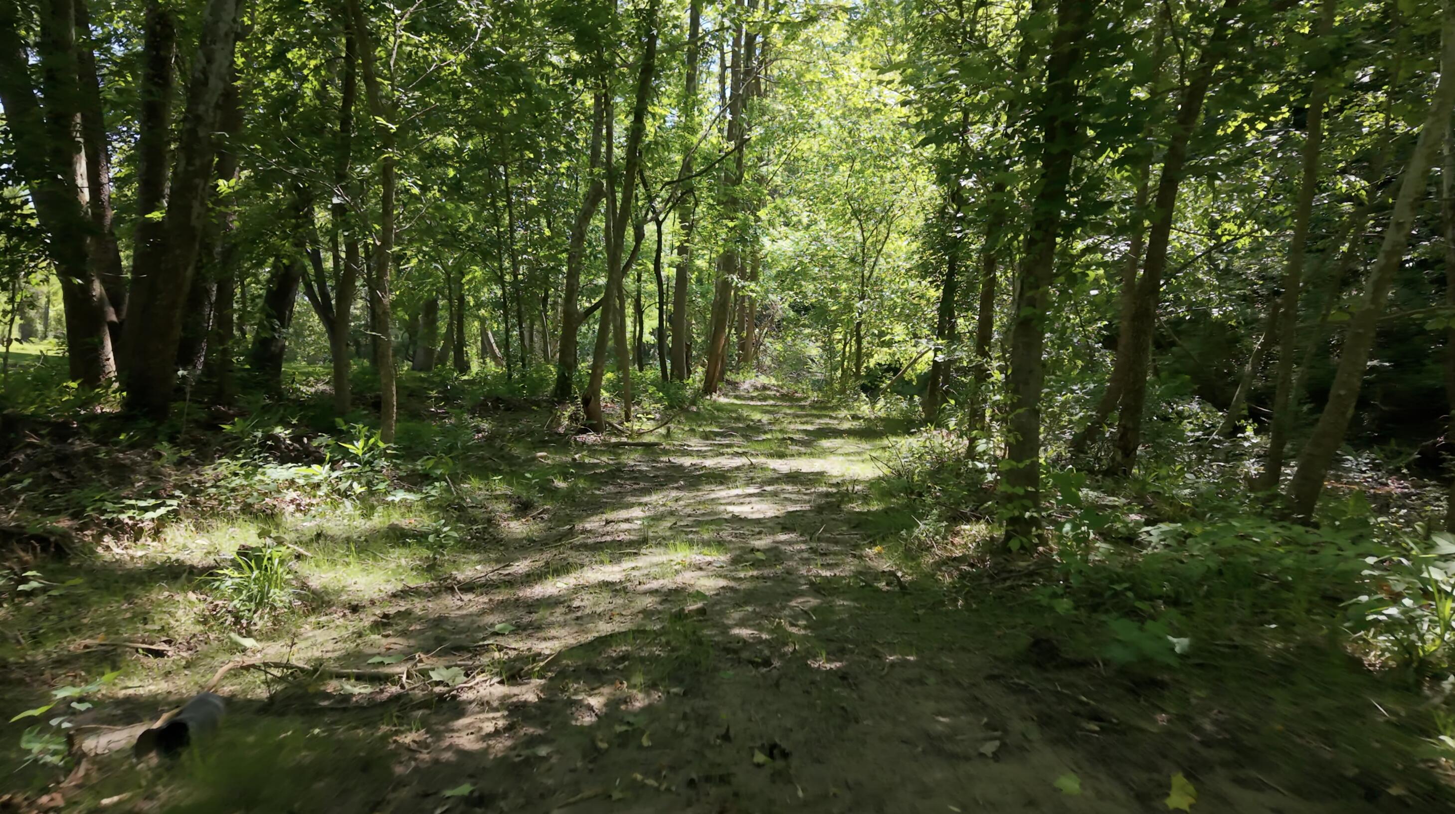 1233 Dog Trot Road Property Photo 59