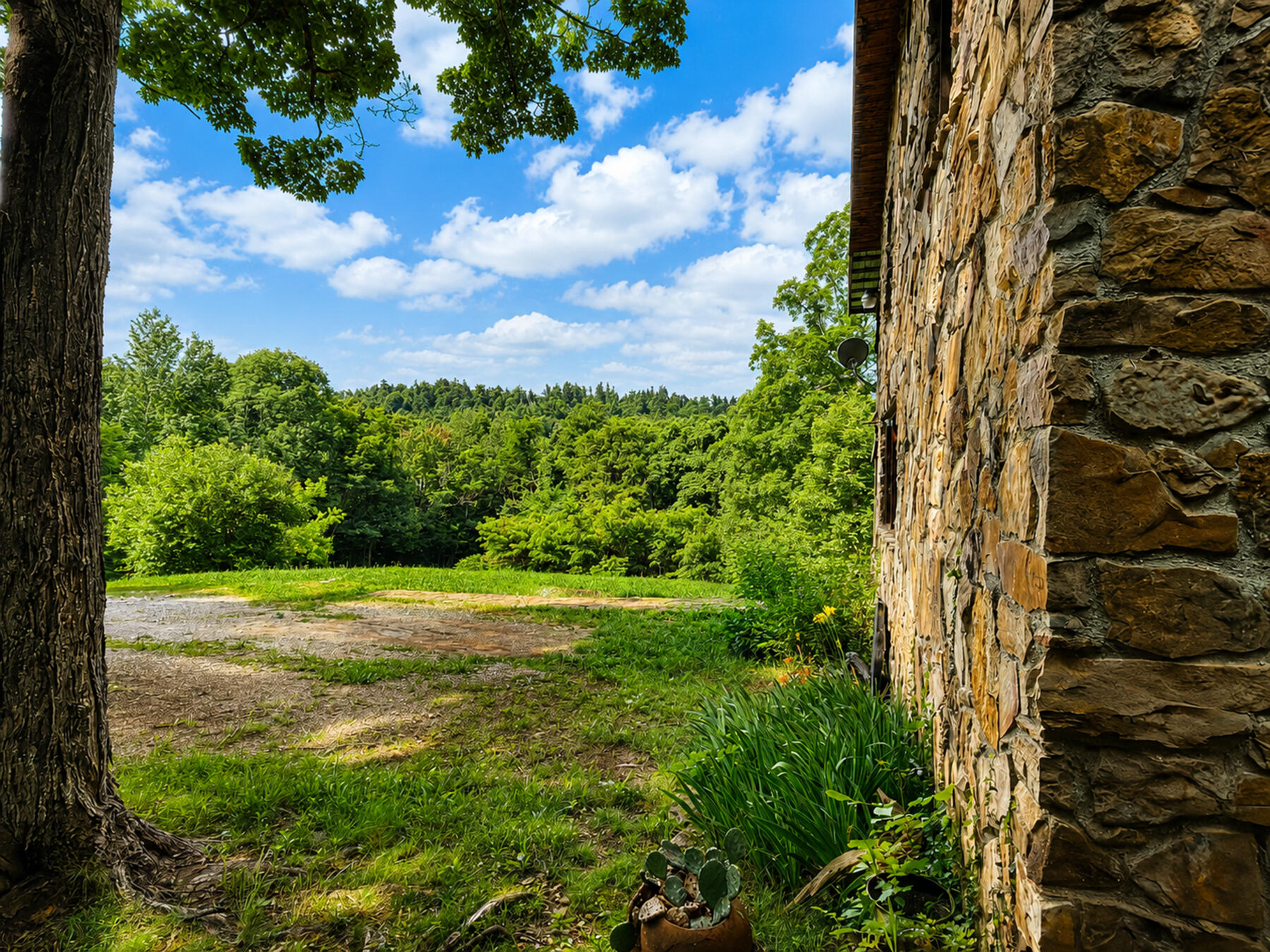 1493 Missouri Hollow Road Property Photo 5