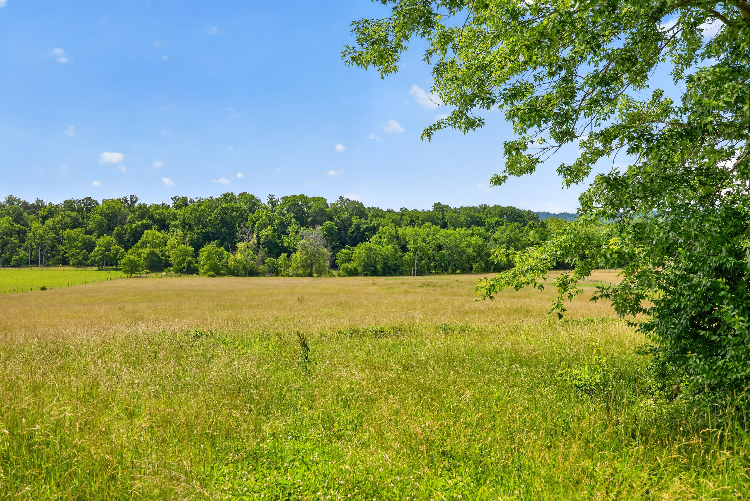 2035 Ky-1247 Property Photo 67