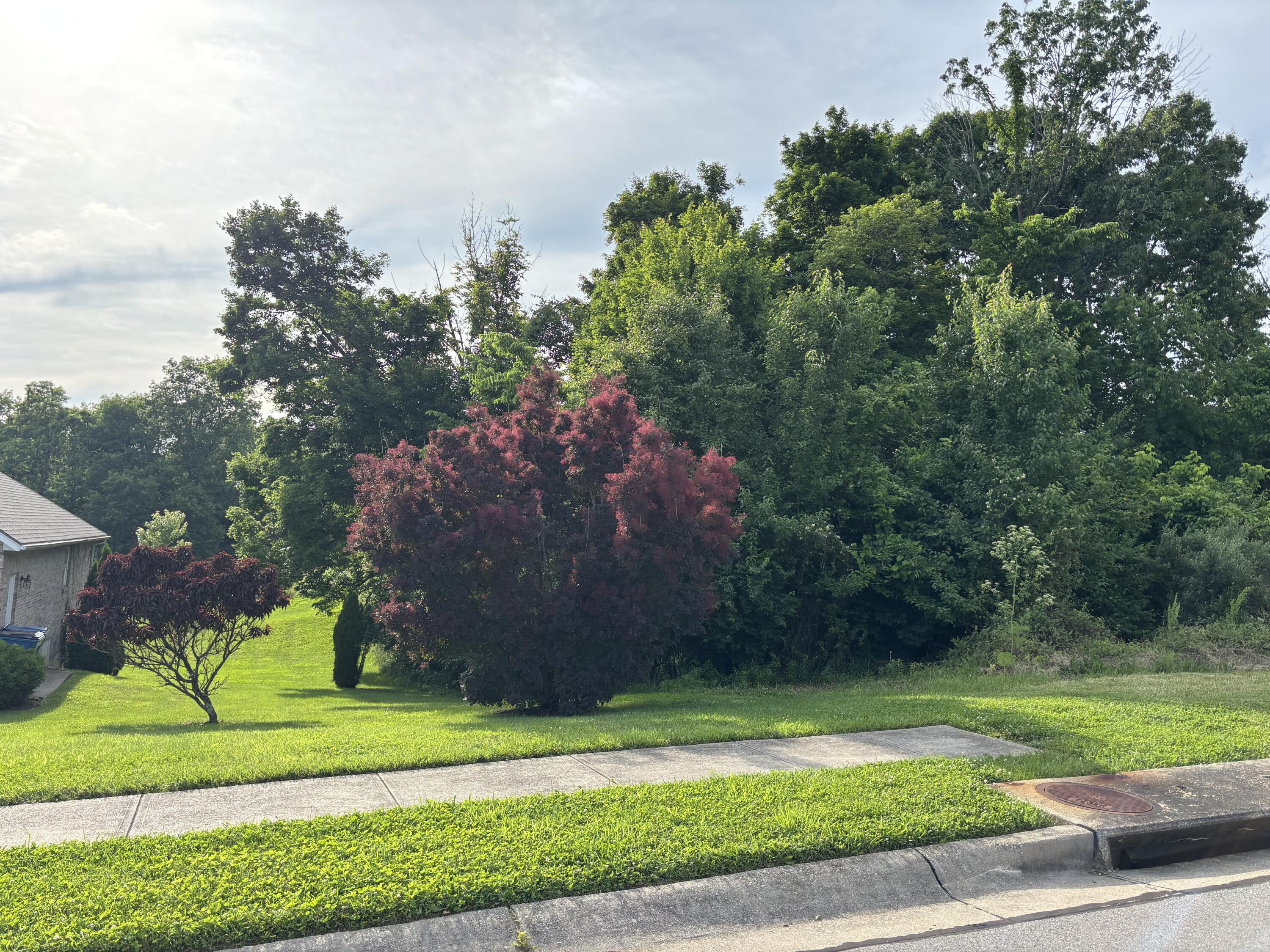 175 Maple Ridge Street Lot 24 Property Photo 6