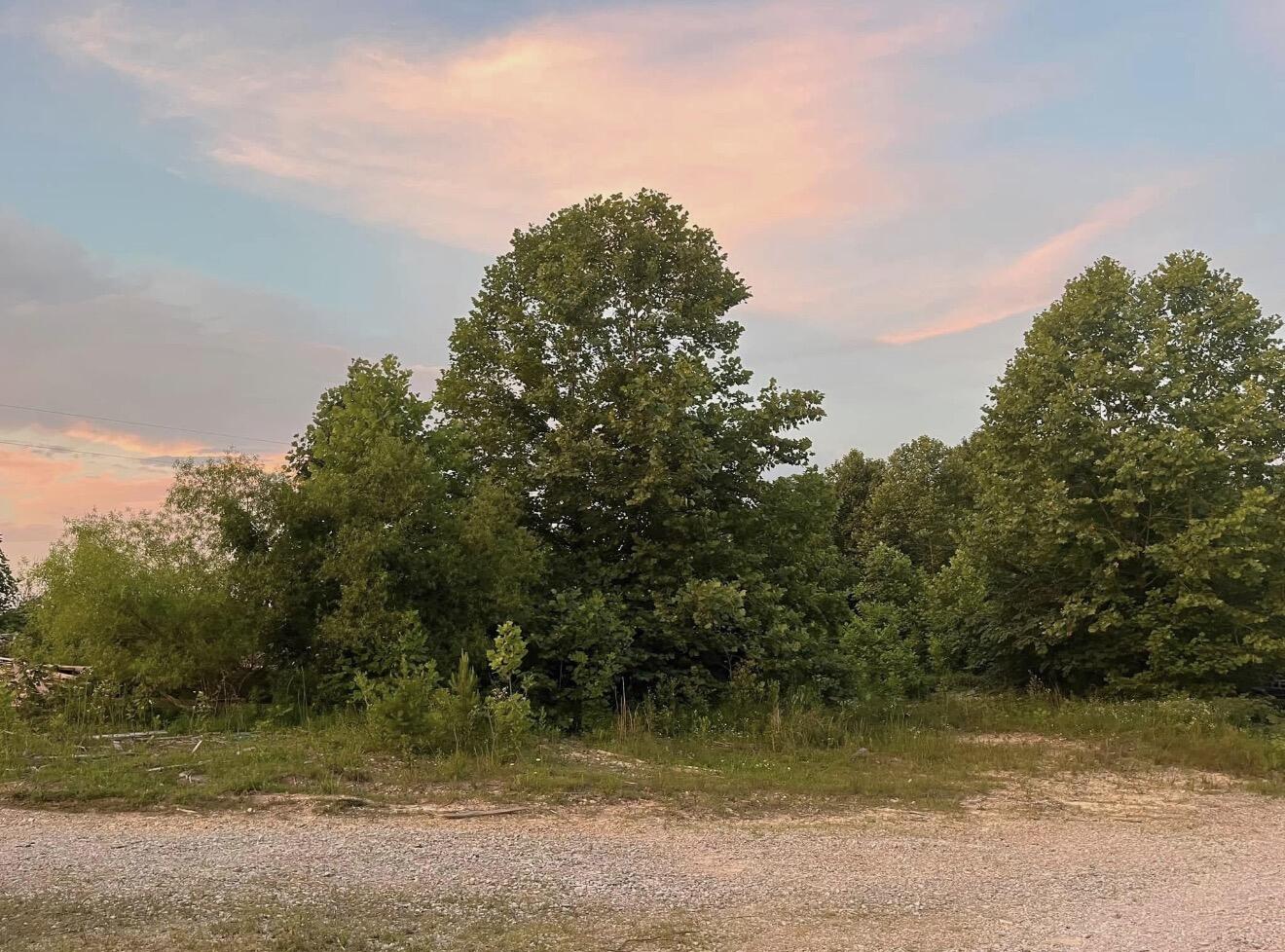 5764 Somerset Road Property Photo 29