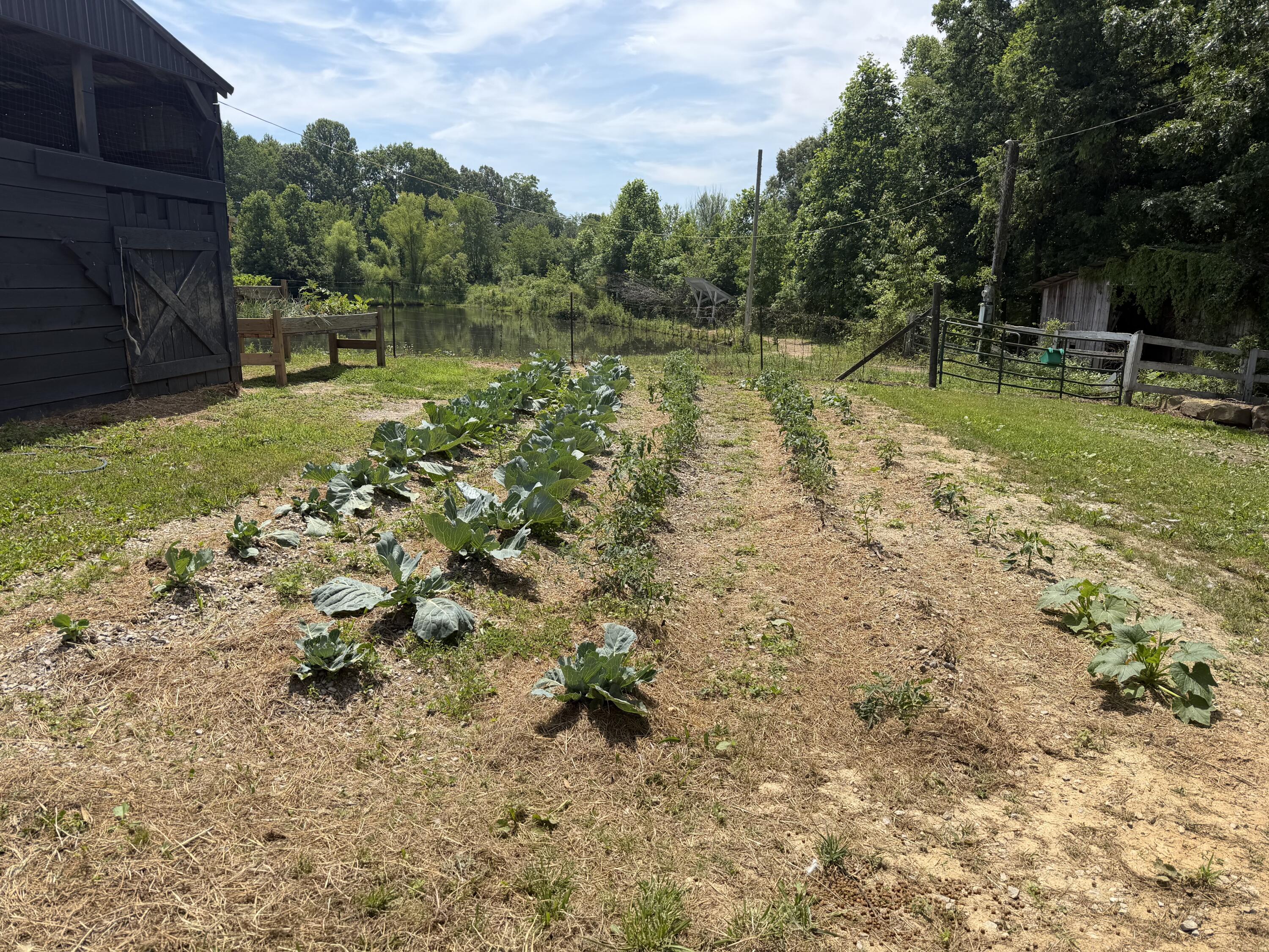 75 Letha Petrey Road Property Photo 40