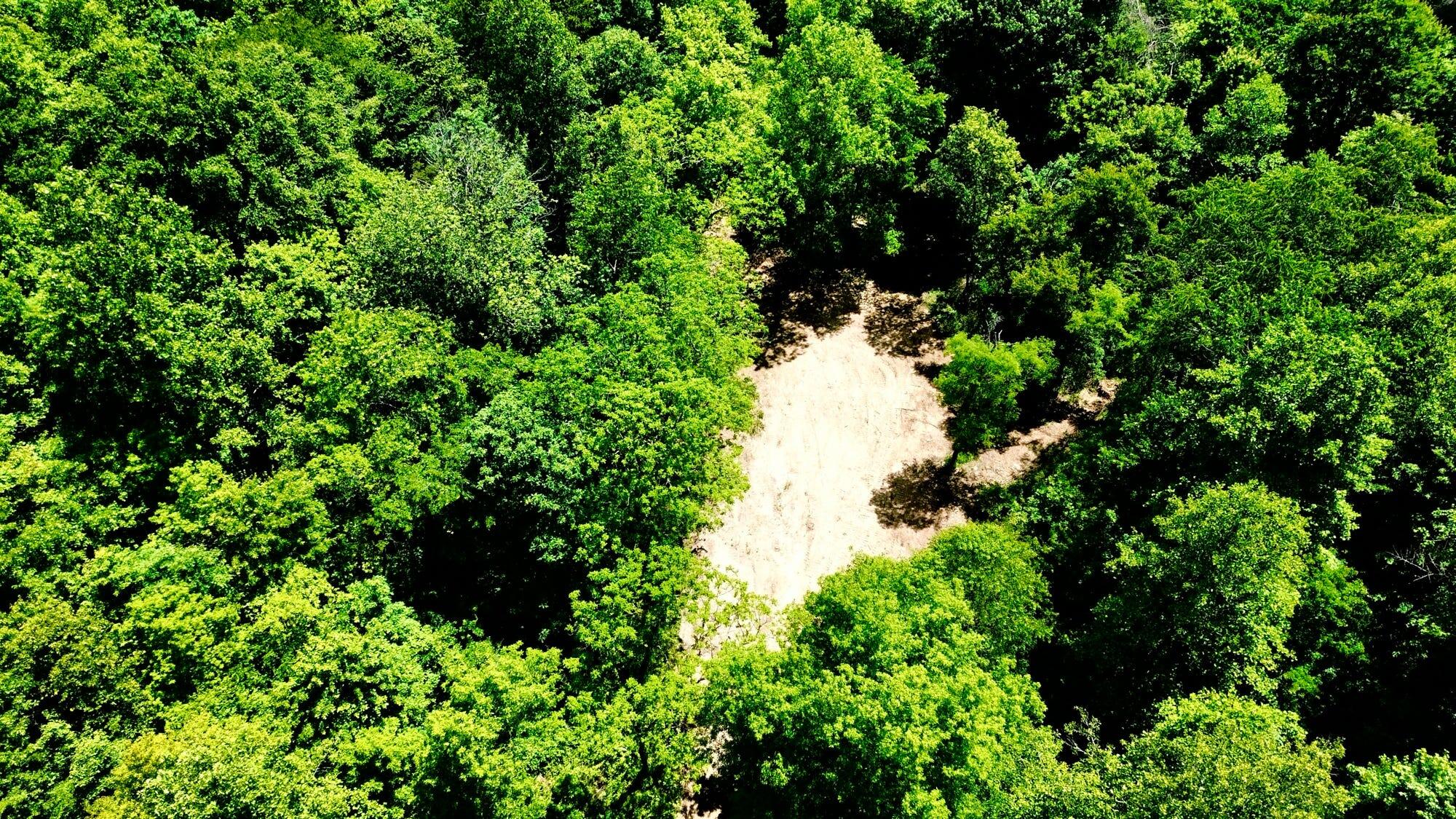 165a Open Fork Road Property Photo 13
