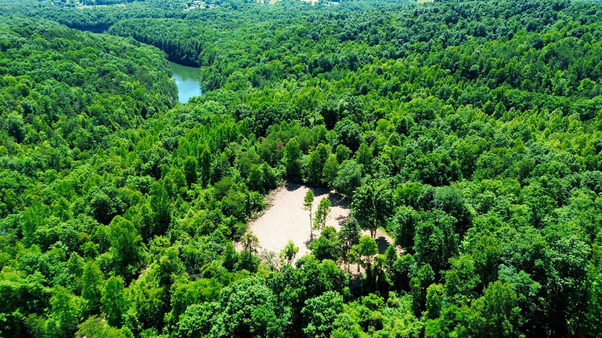 165a Open Fork Road Property Photo 14