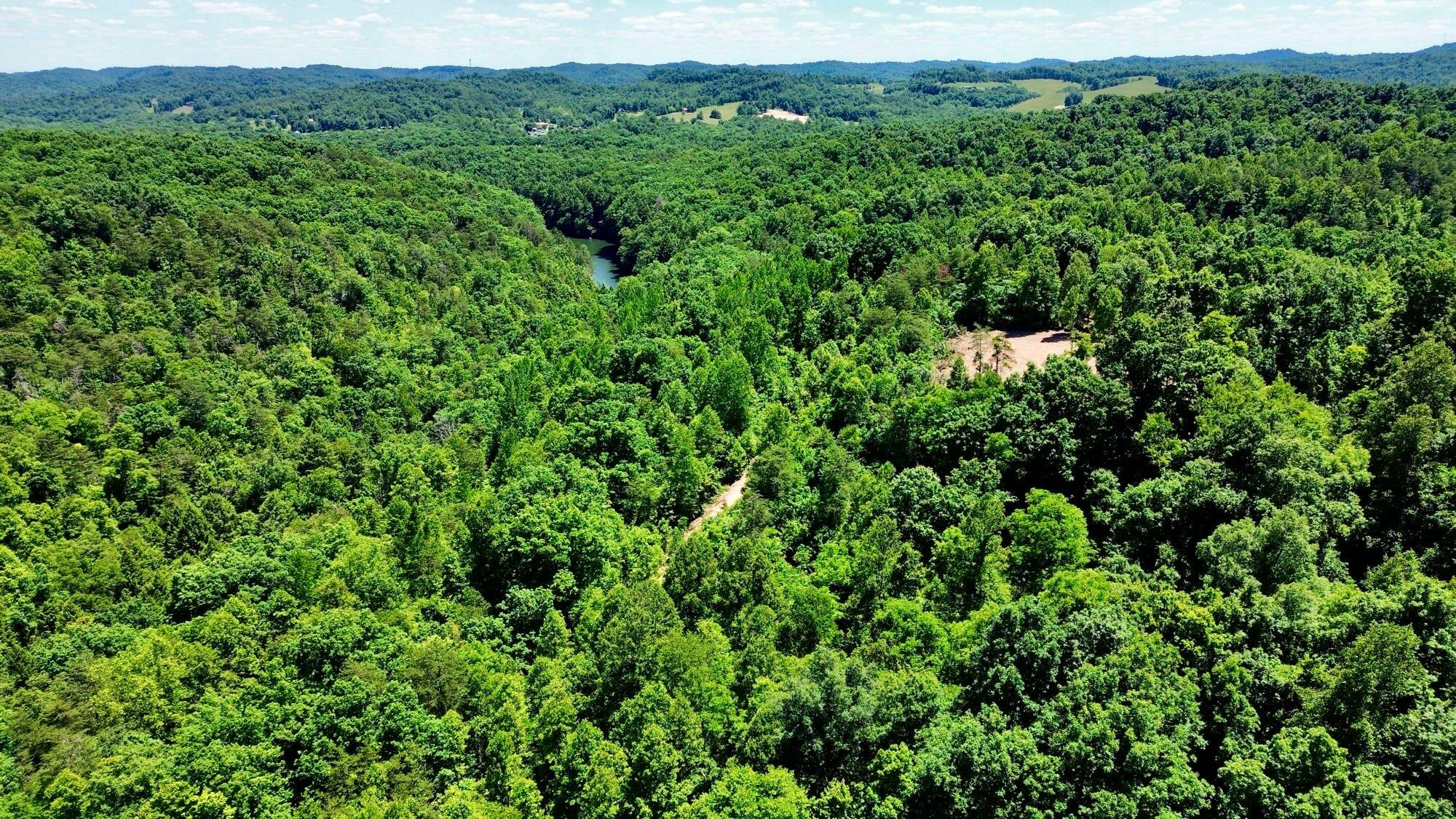 165a Open Fork Road Property Photo 17