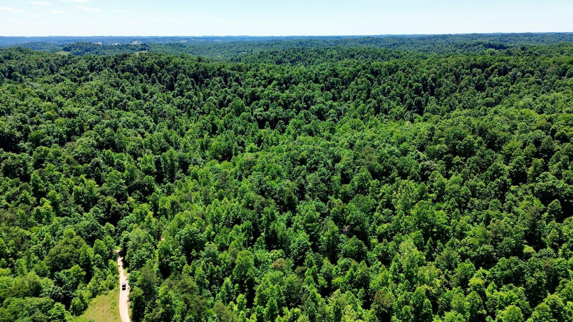 165a Open Fork Road Property Photo 20