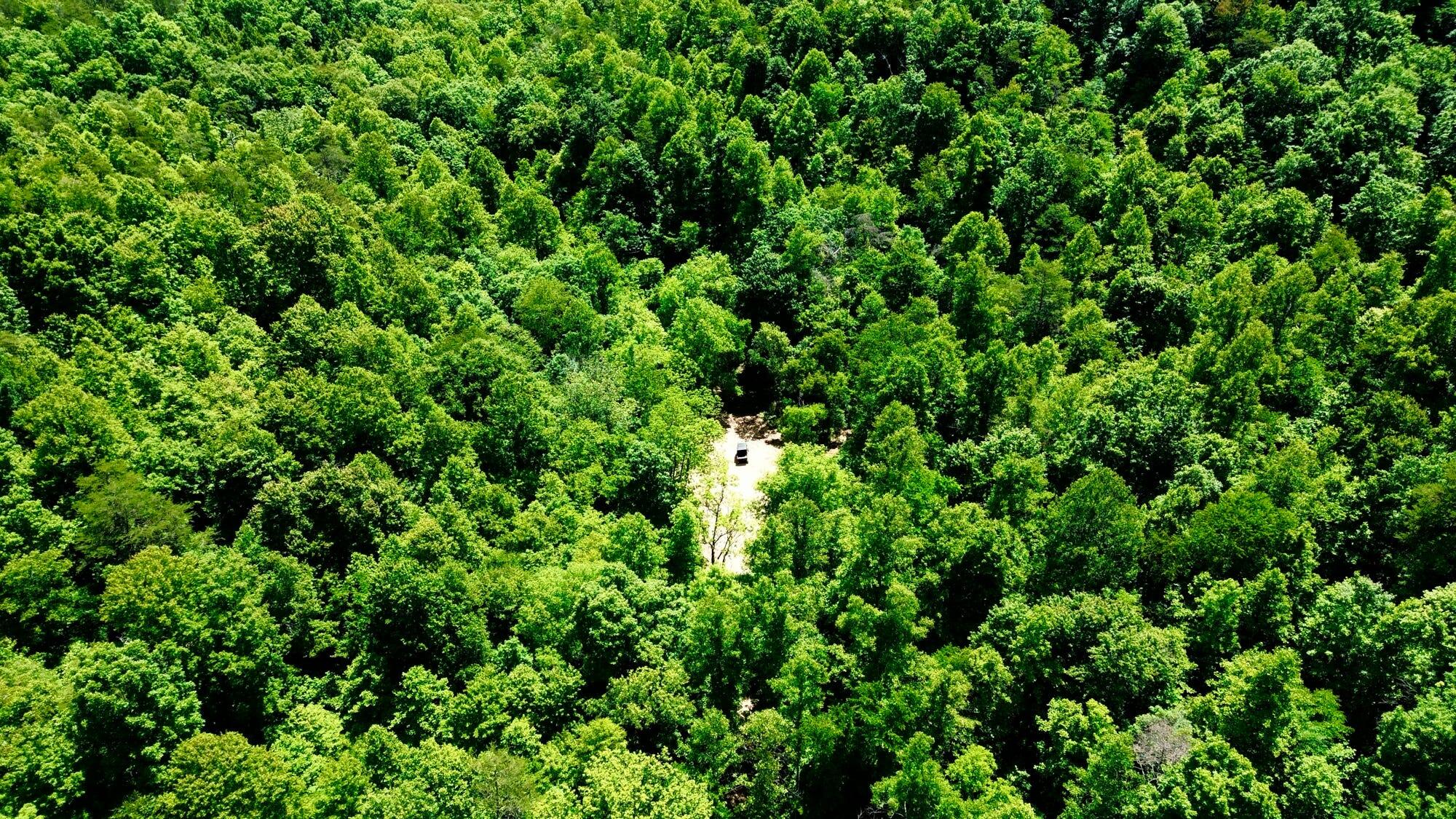 165a Open Fork Road Property Photo 22