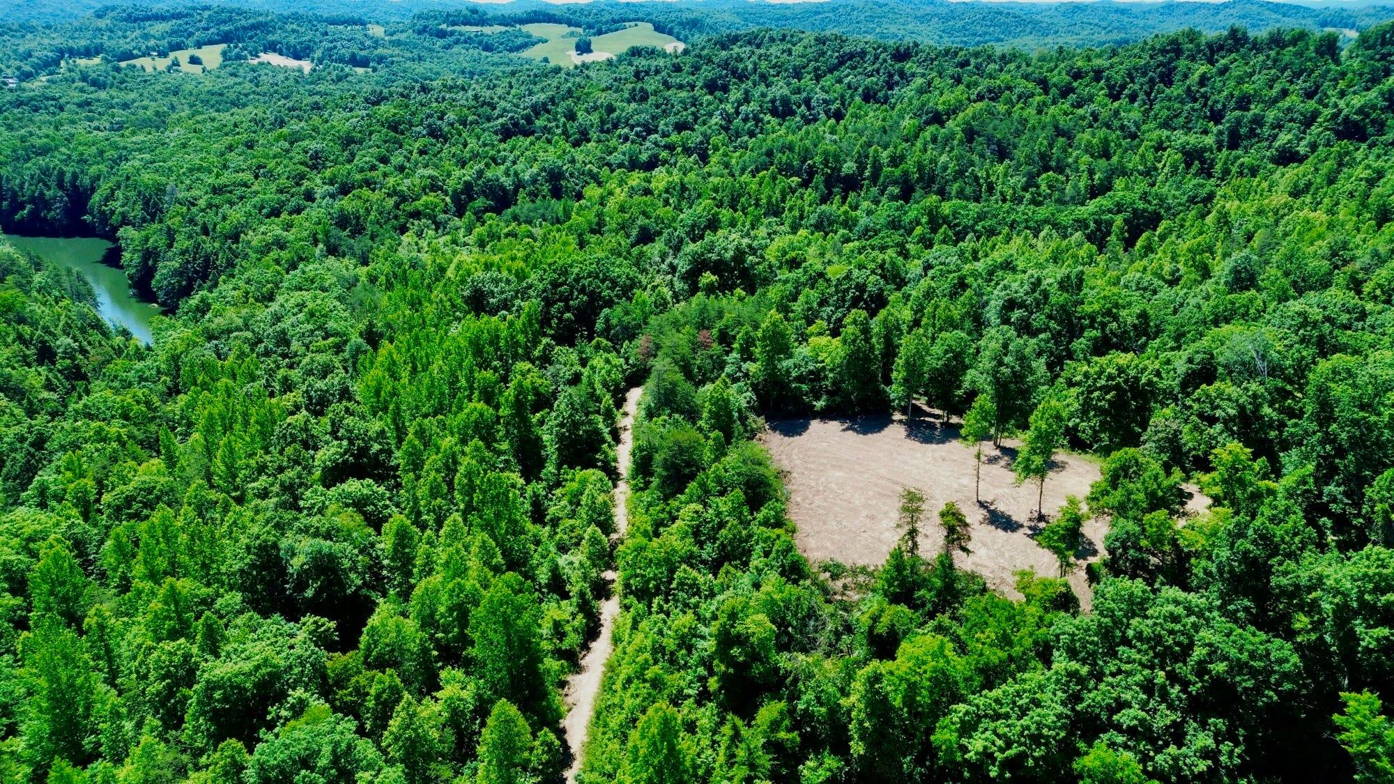 165a Open Fork Road Property Photo 25