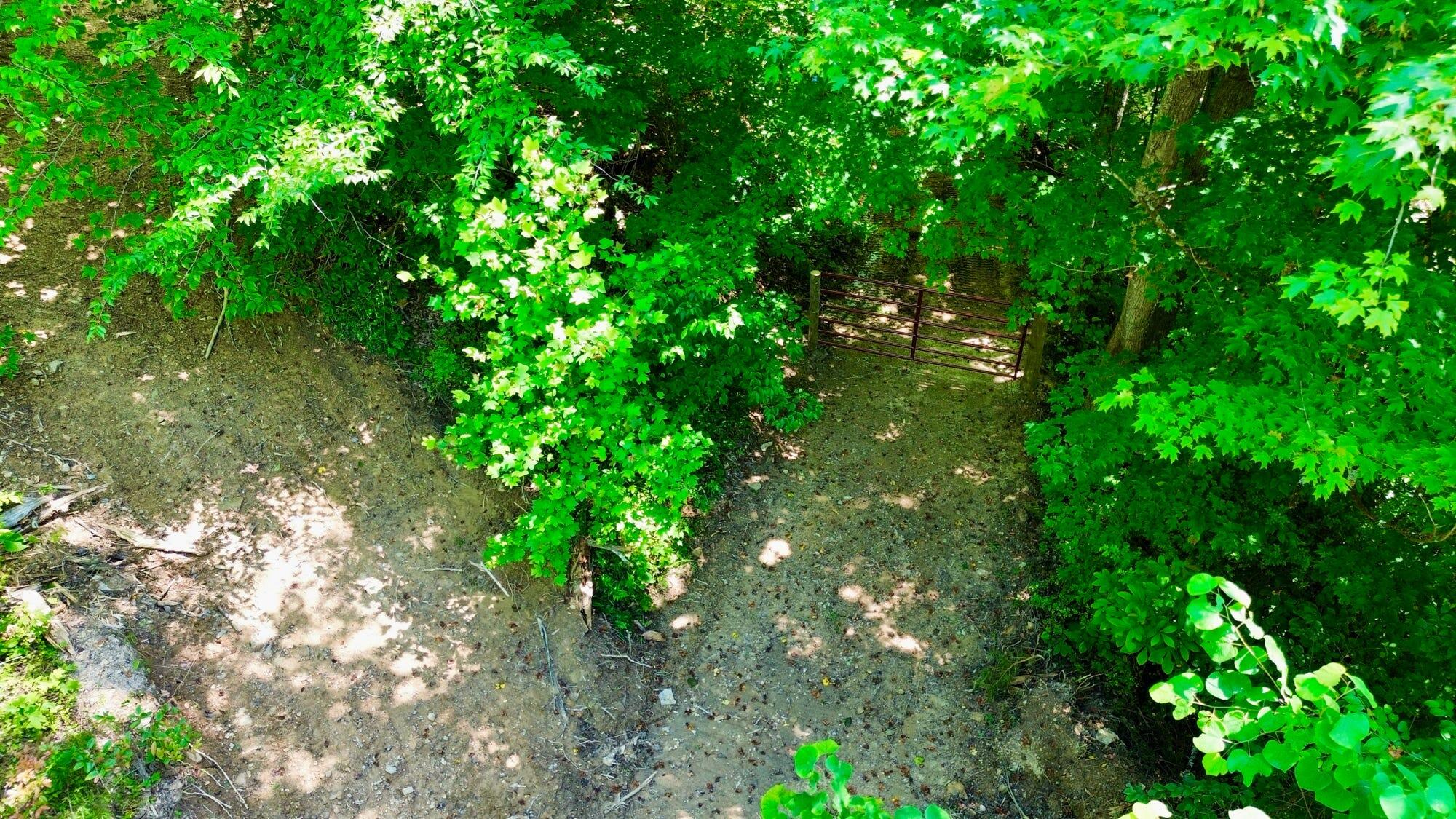165a Open Fork Road Property Photo 29