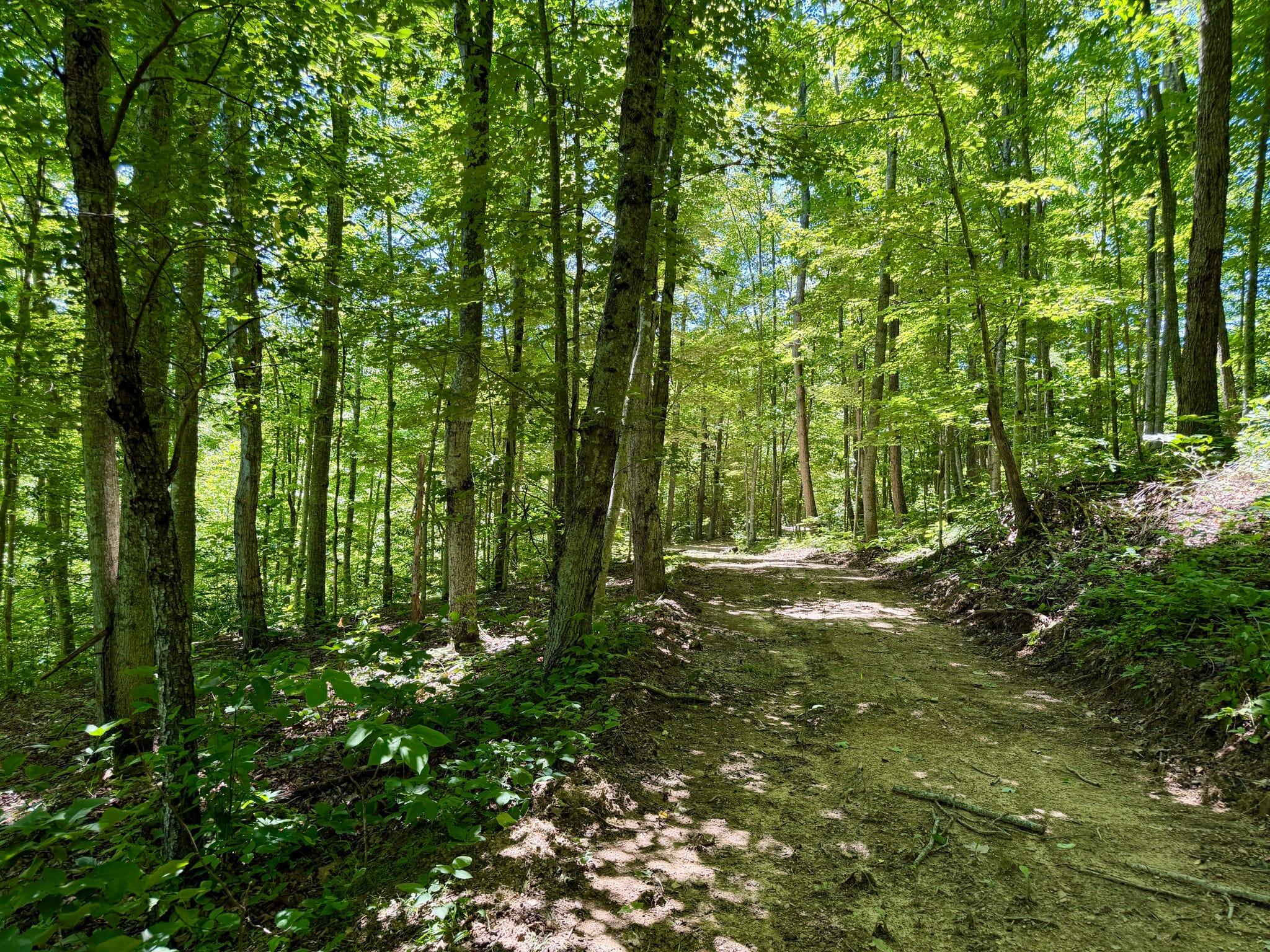165a Open Fork Road Property Photo 30