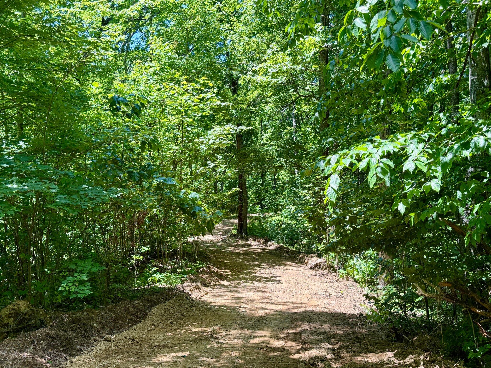 165a Open Fork Road Property Photo 31