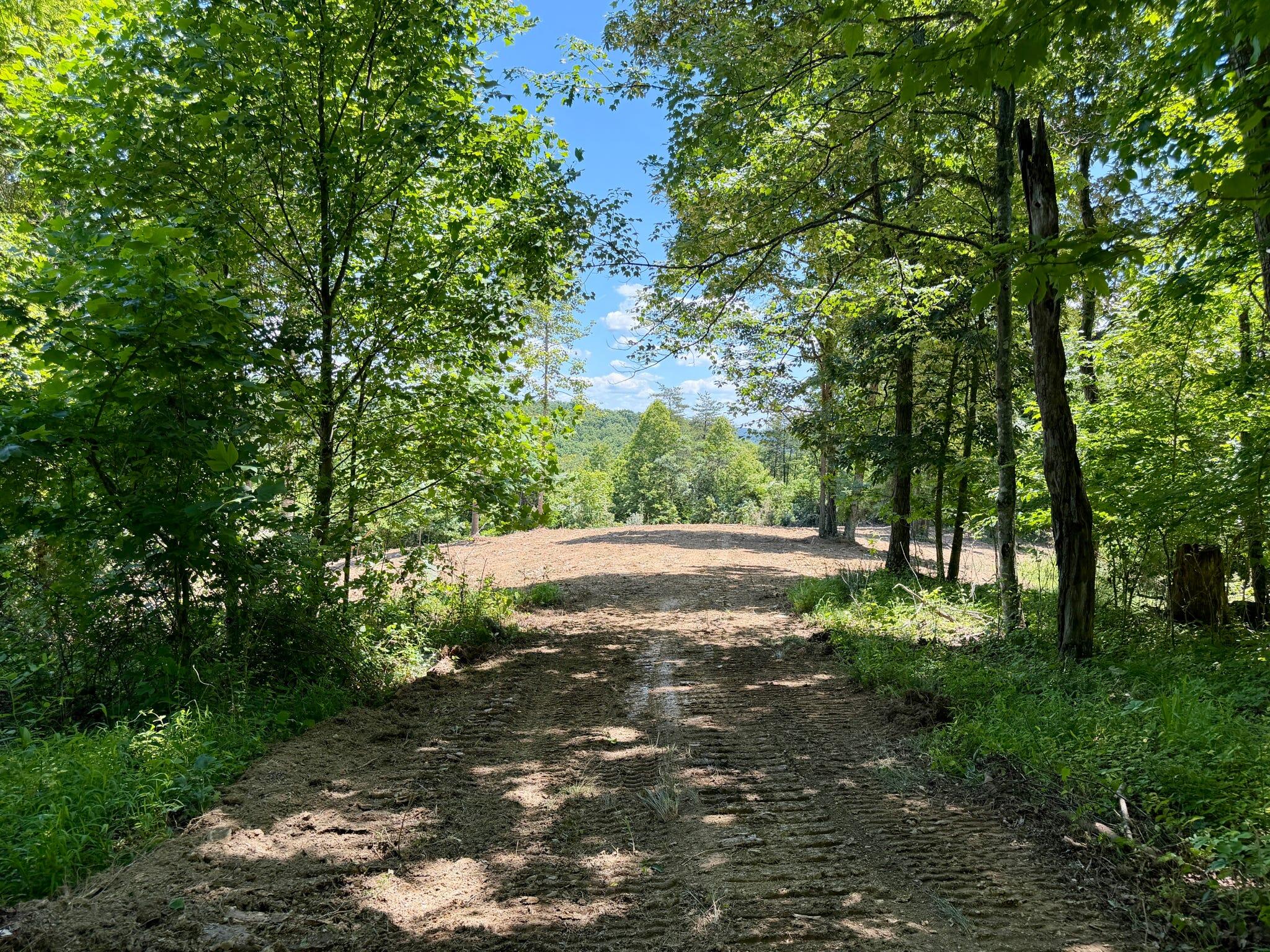 165a Open Fork Road Property Photo 32