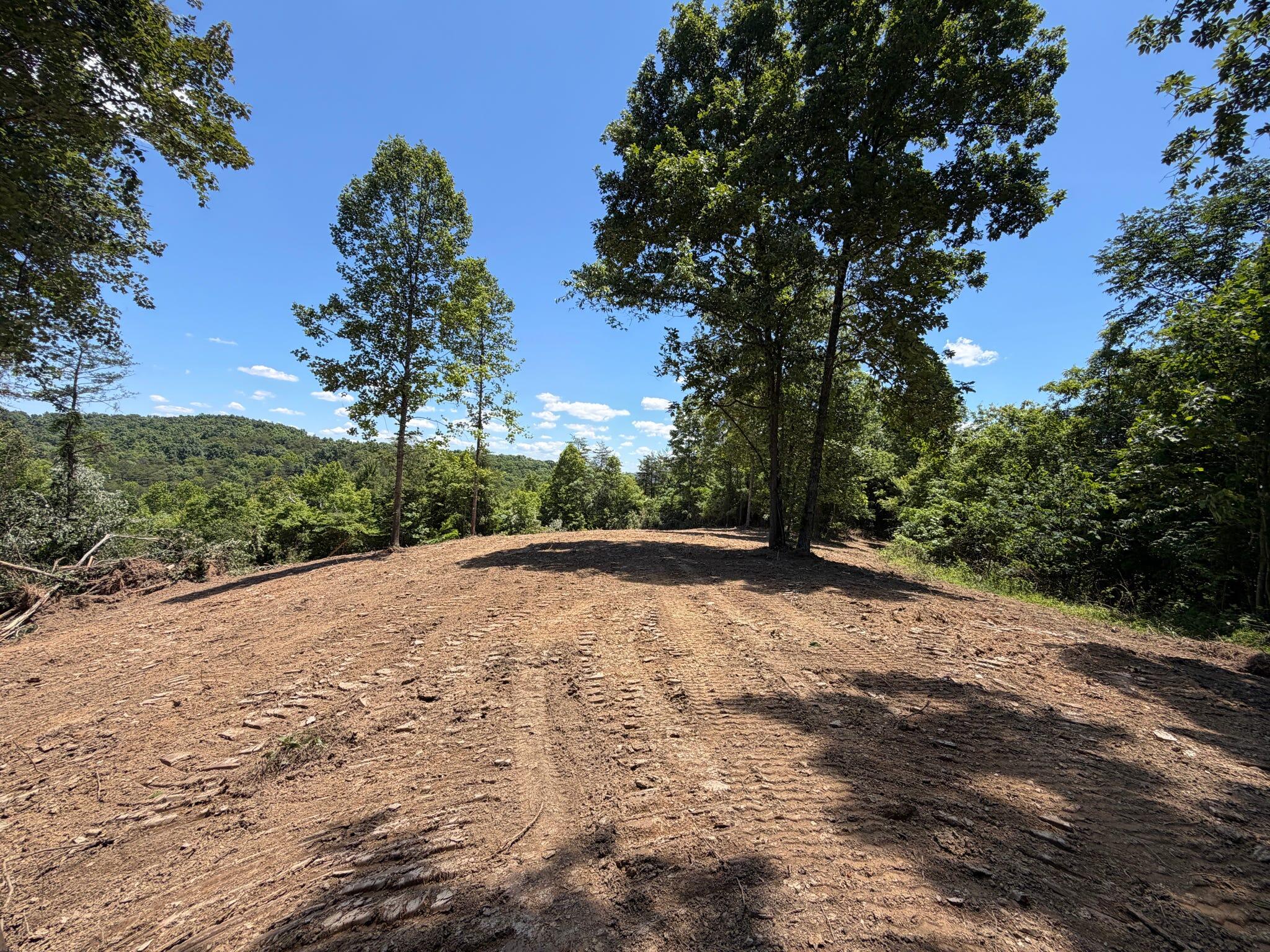 165a Open Fork Road Property Photo 33