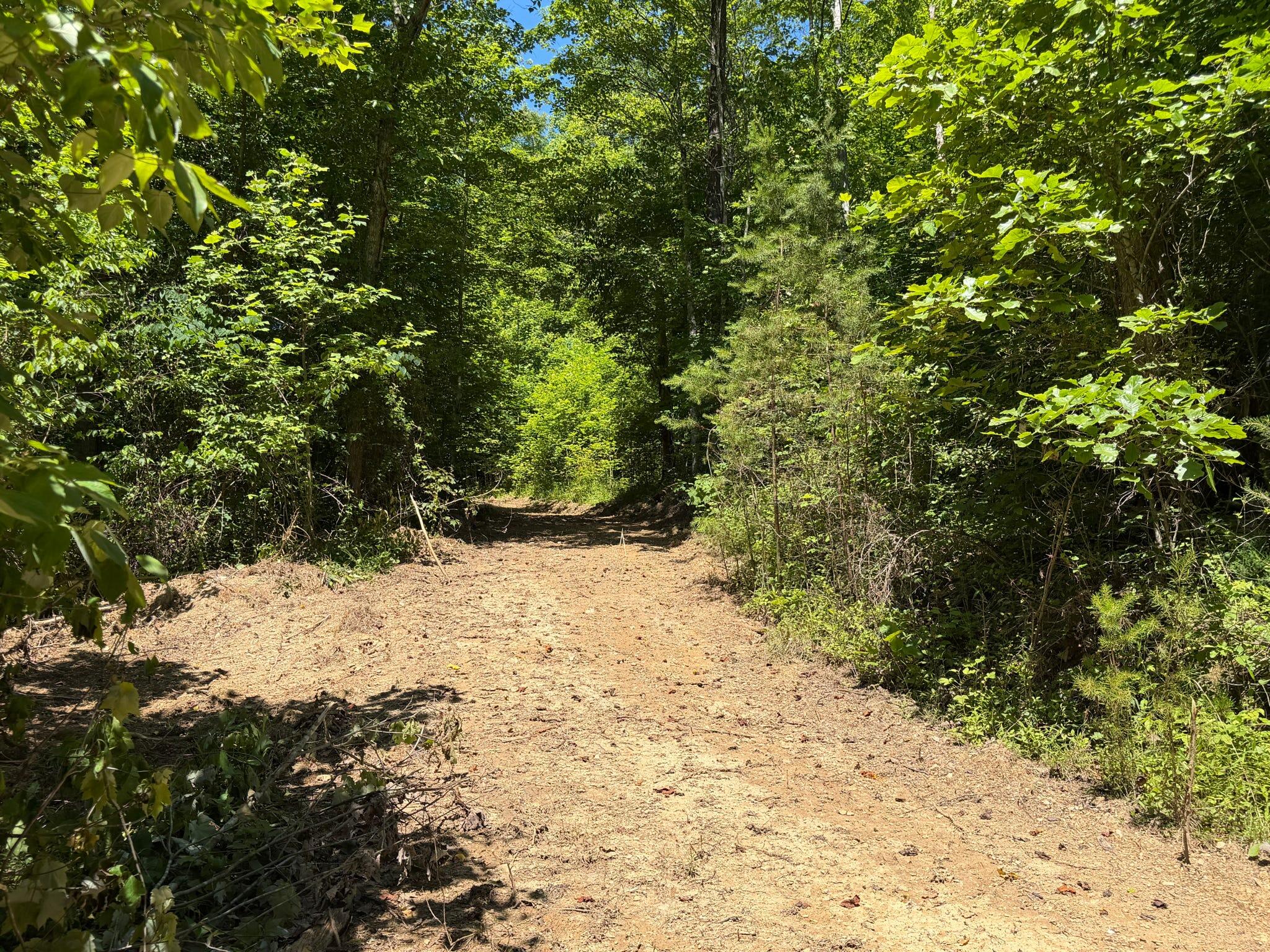 165a Open Fork Road Property Photo 34