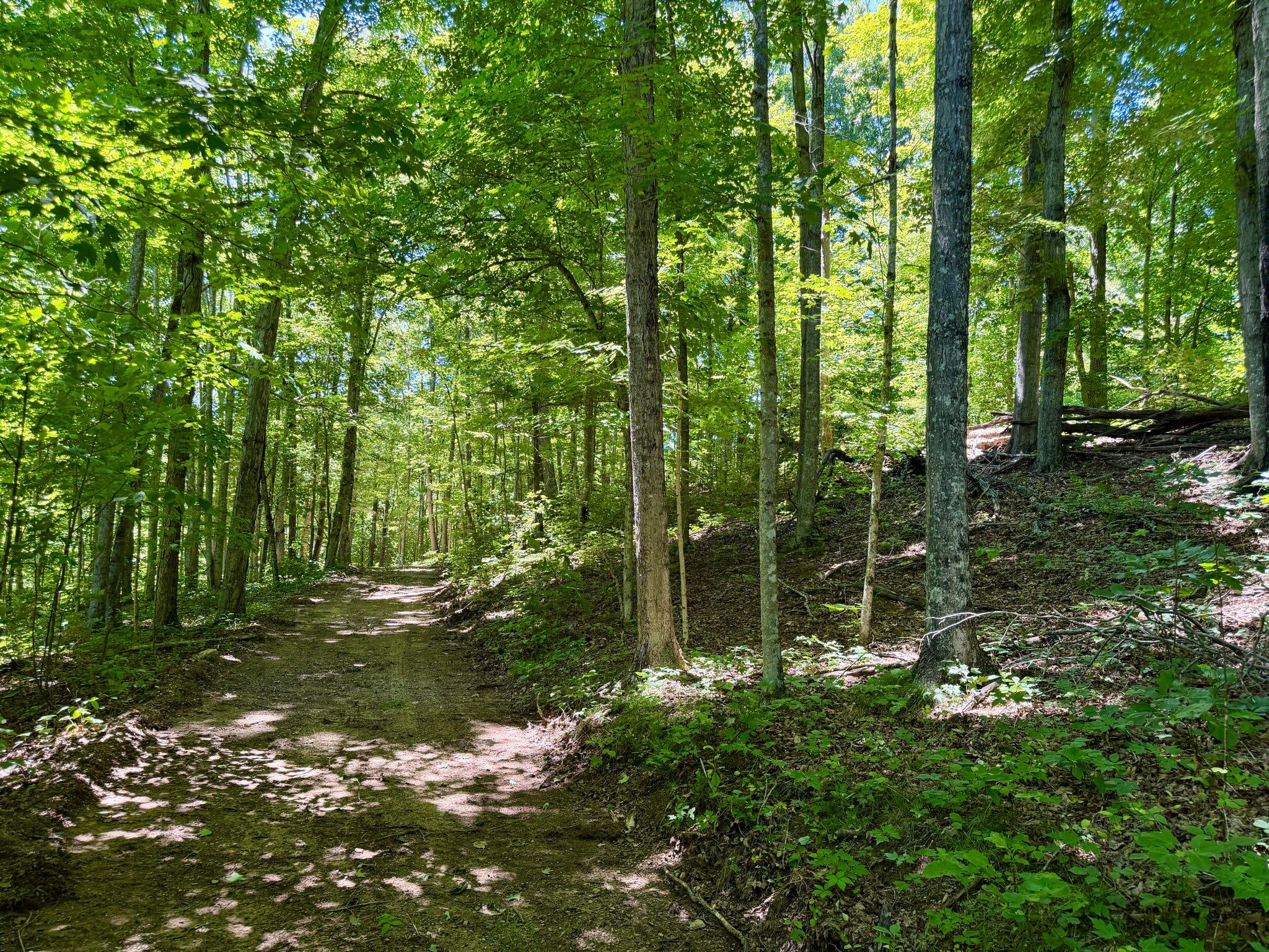 165a Open Fork Road Property Photo 35