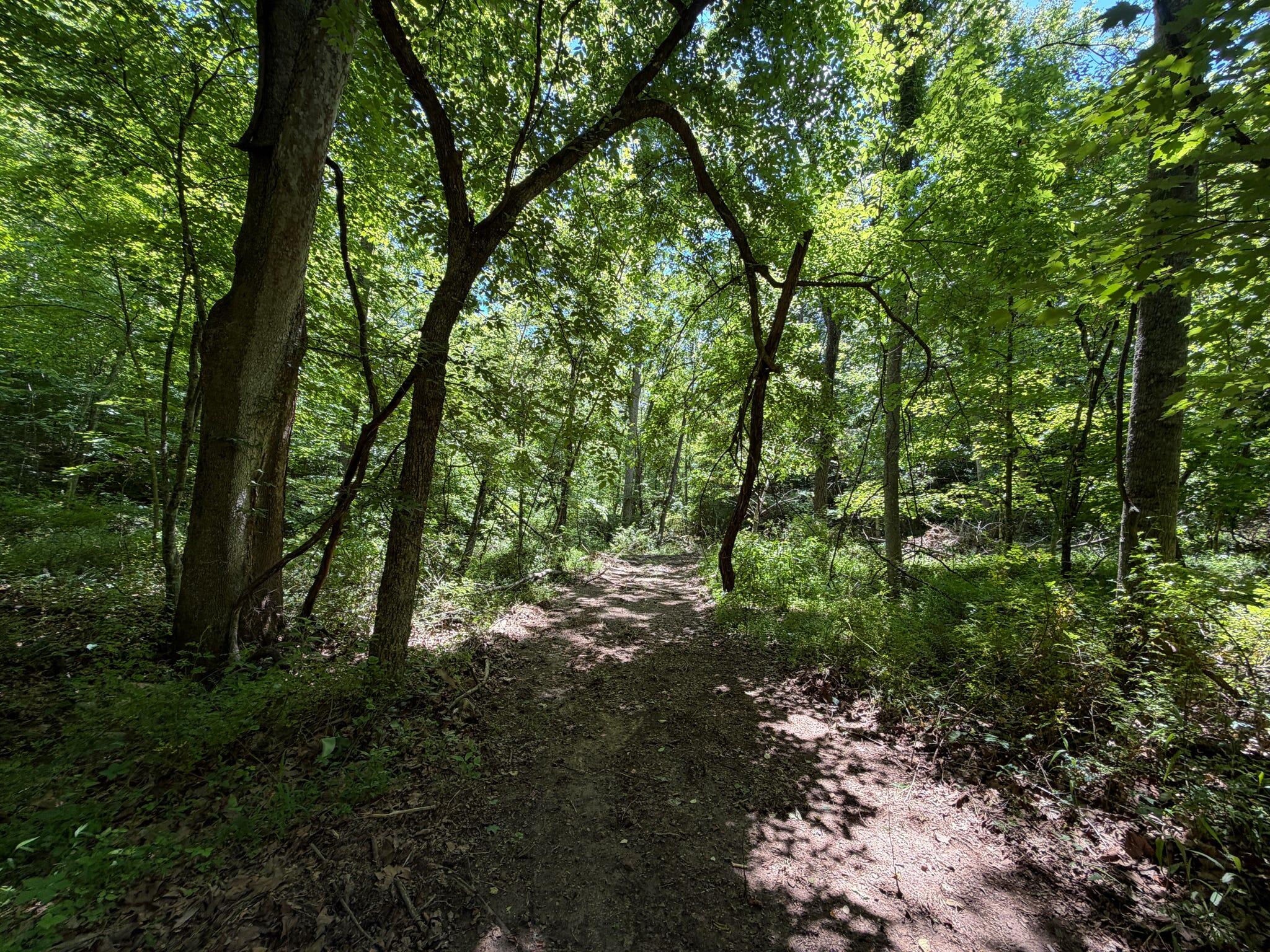 165a Open Fork Road Property Photo 36