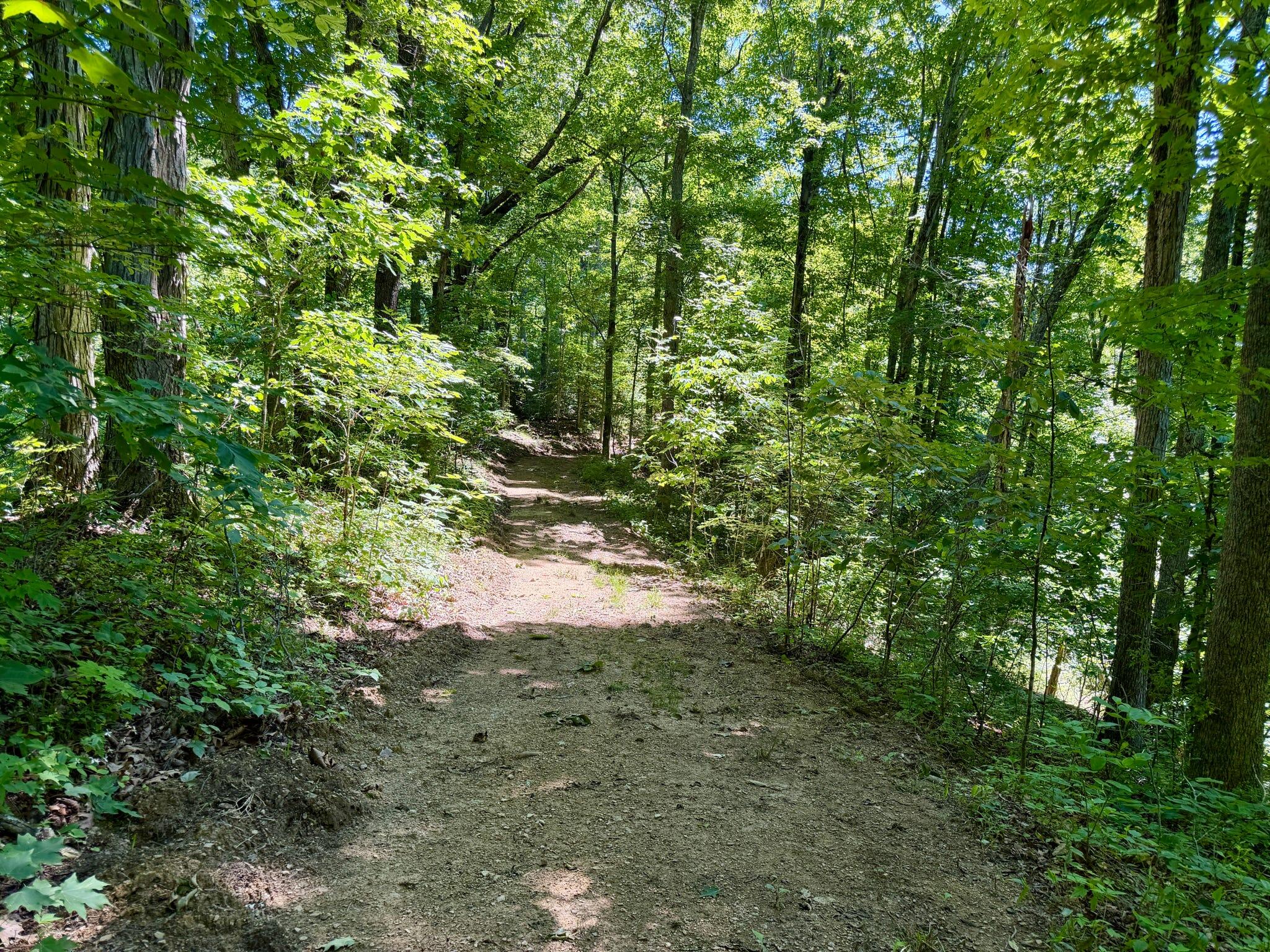 165a Open Fork Road Property Photo 37