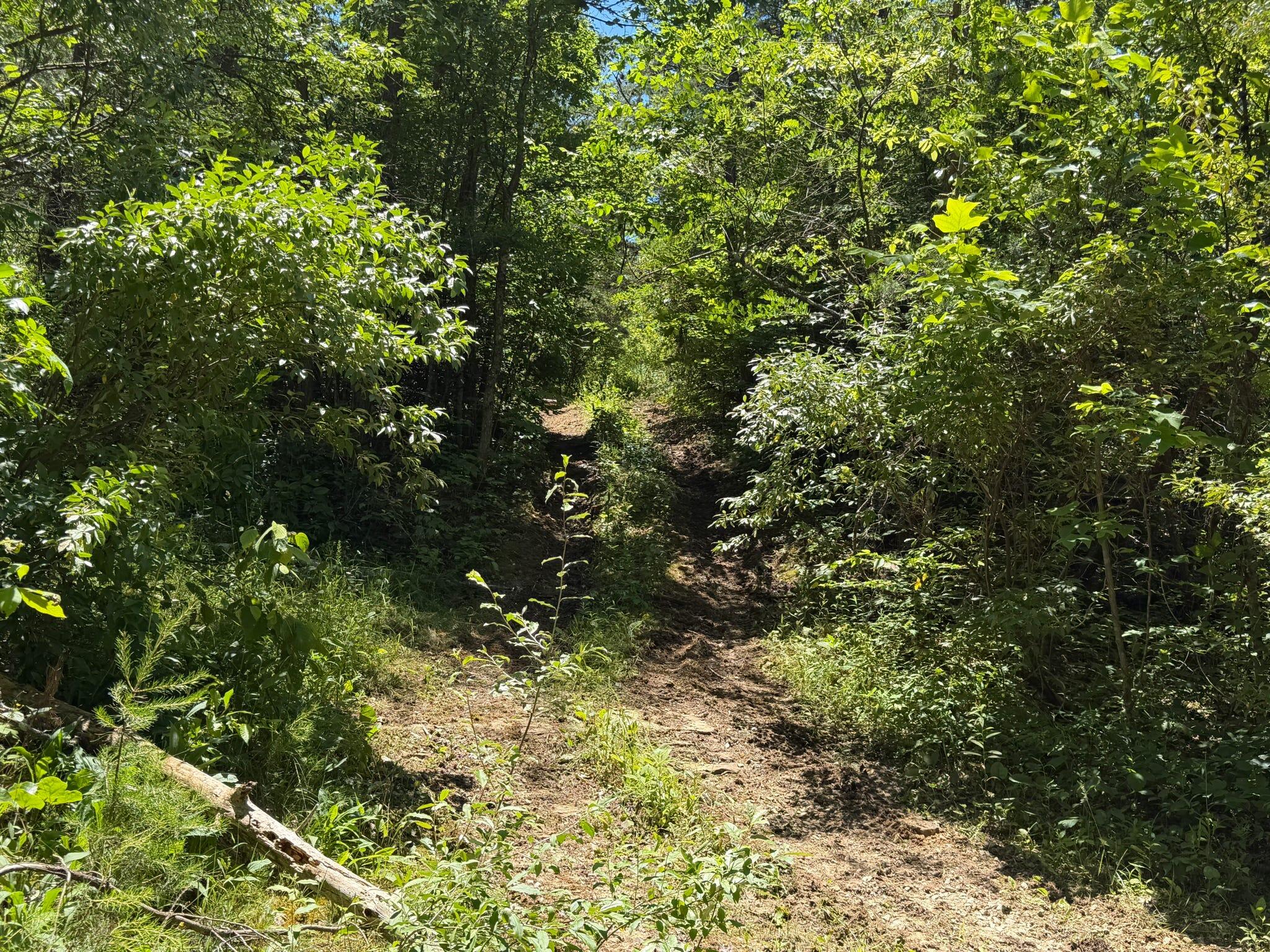 165a Open Fork Road Property Photo 42