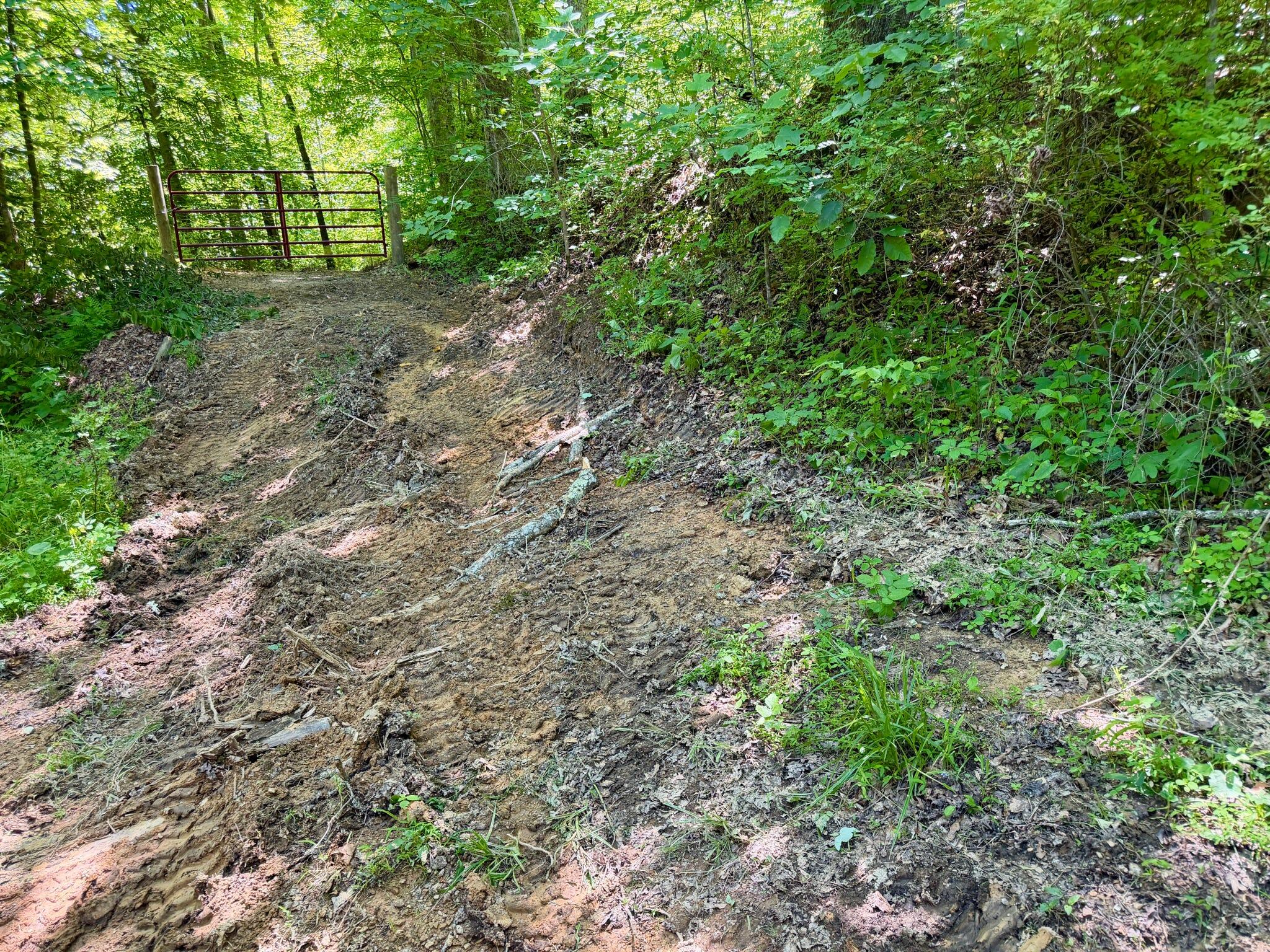 165a Open Fork Road Property Photo 43