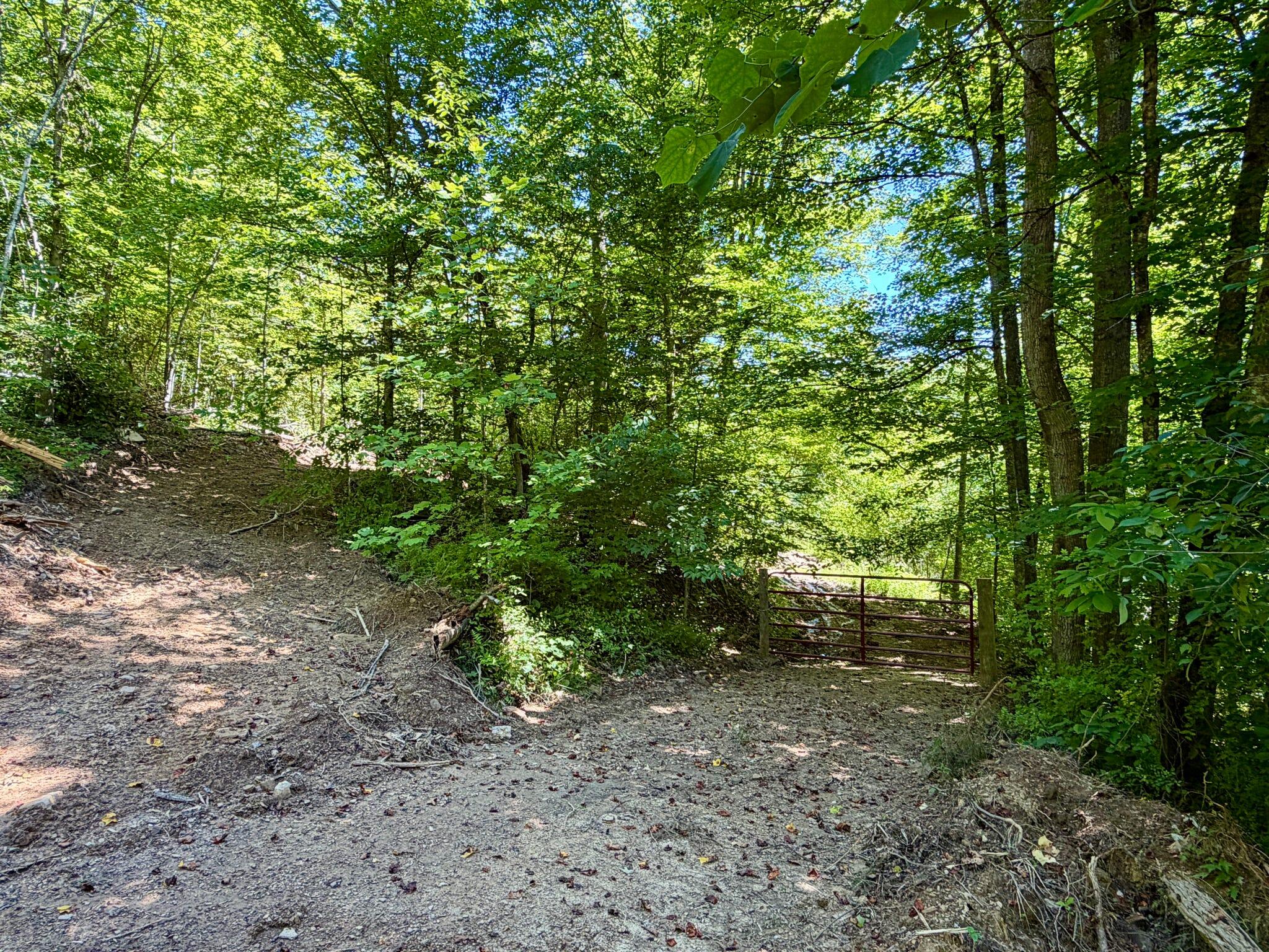 165a Open Fork Road Property Photo 44