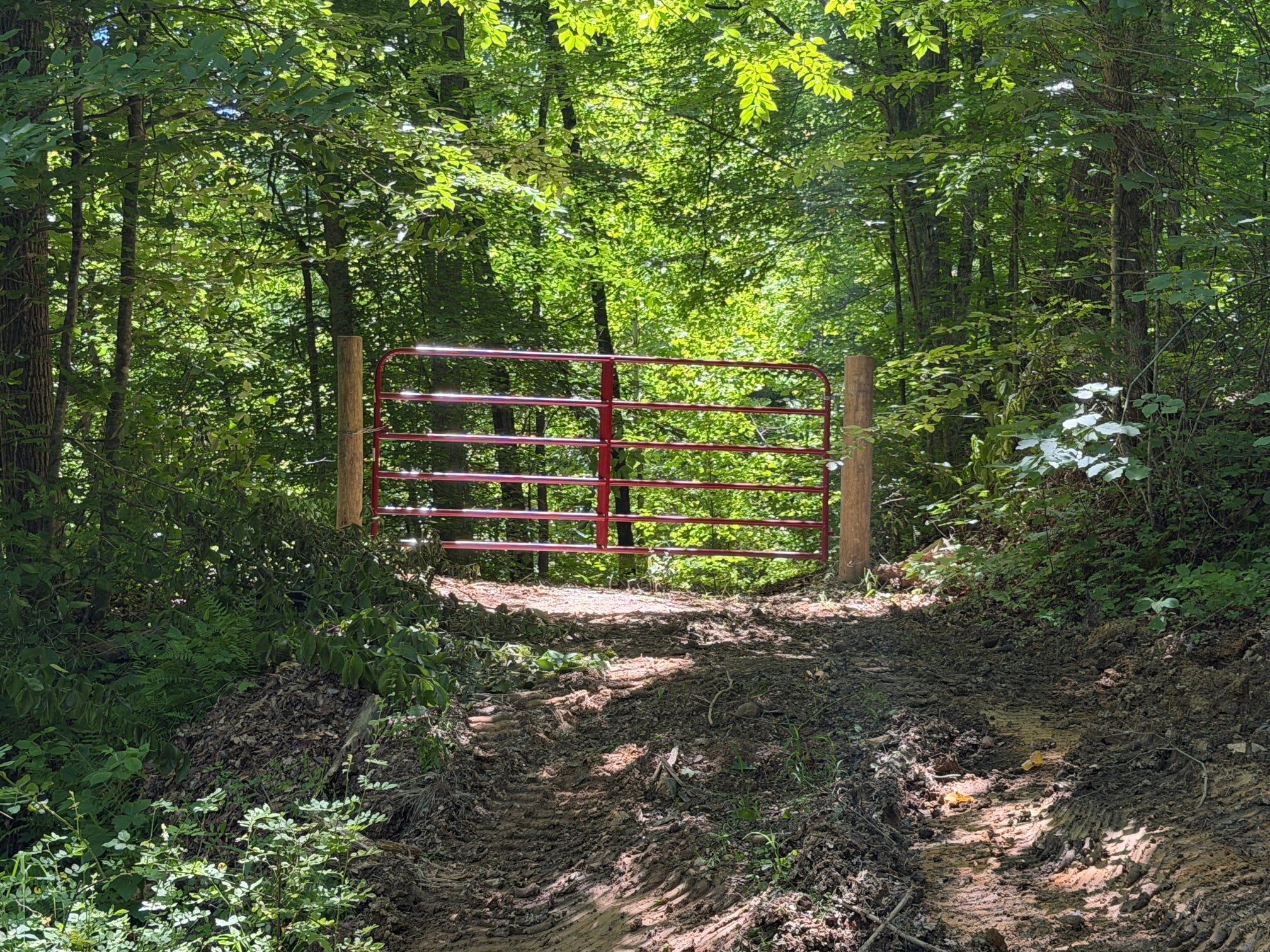 165a Open Fork Road Property Photo 45