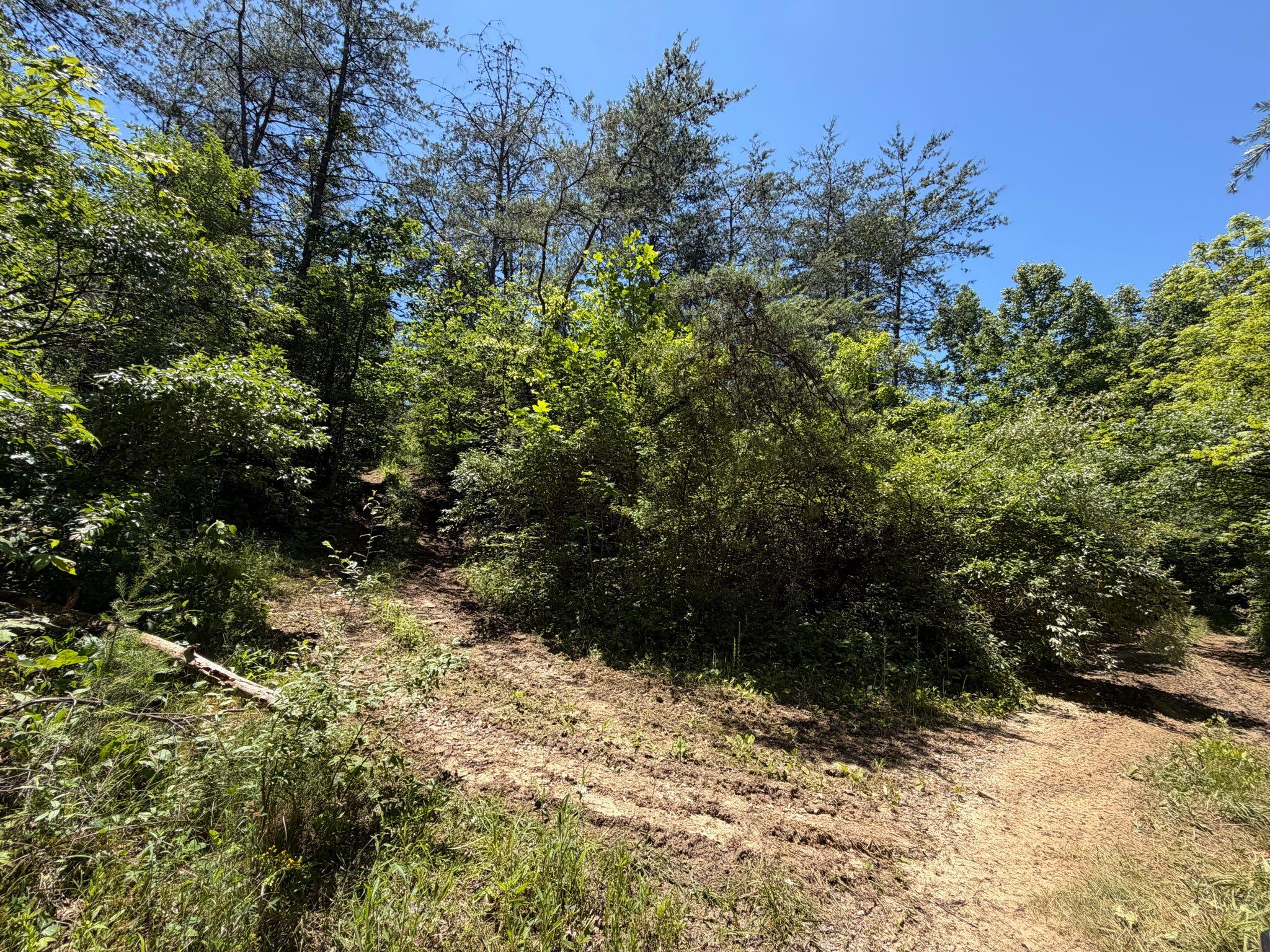 165a Open Fork Road Property Photo 46