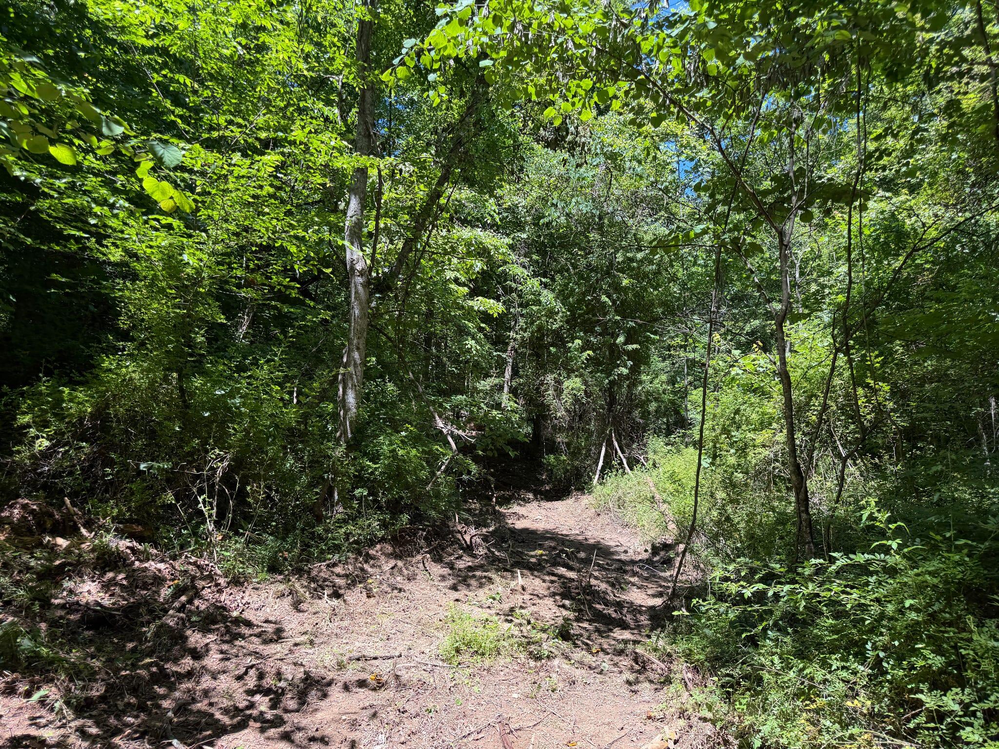165a Open Fork Road Property Photo 47