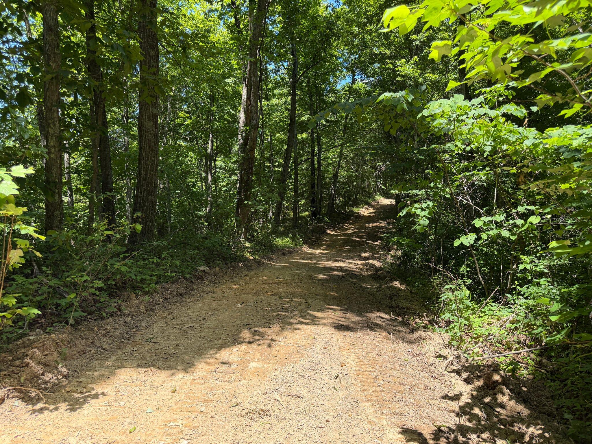 165a Open Fork Road Property Photo 48