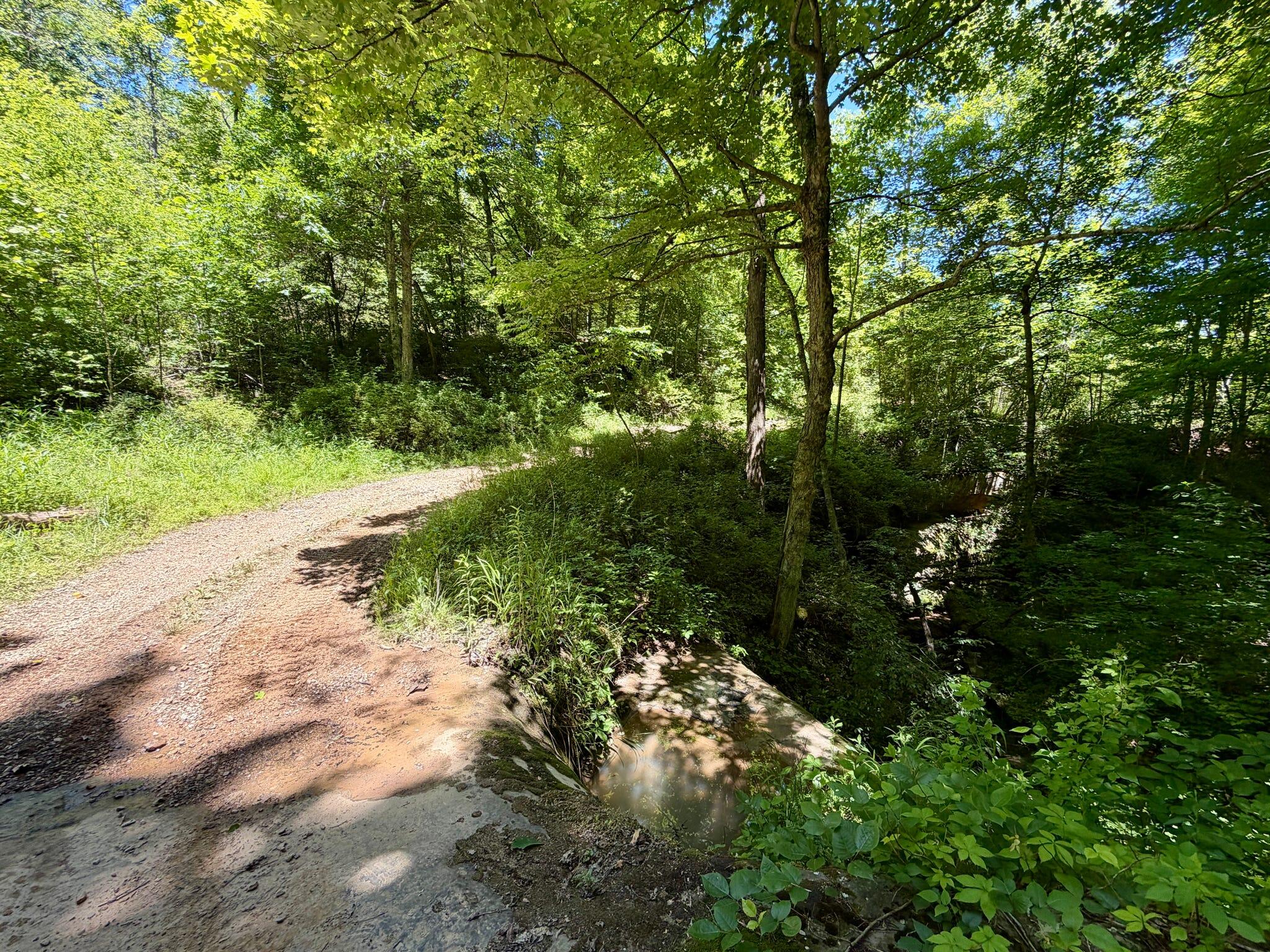 165a Open Fork Road Property Photo 50